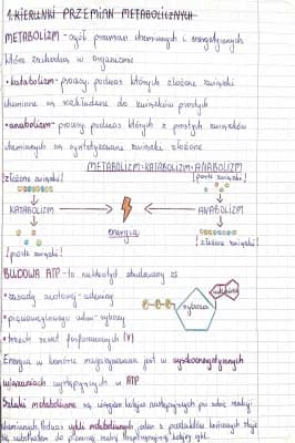 Know kierunki przemian metabolicznych thumbnail