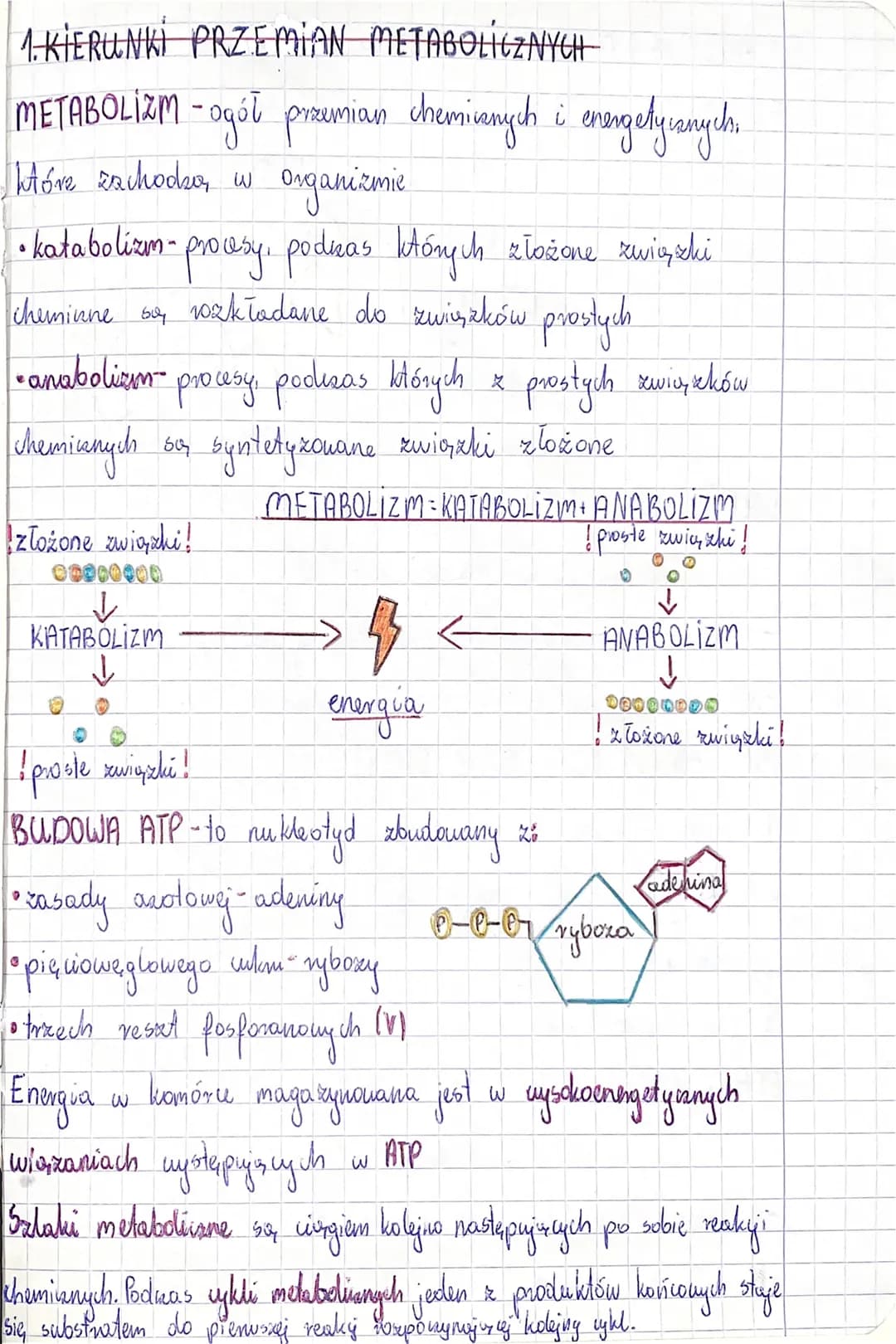 1. KIERUNKI PRZEMIAN METABOLICZNYCH
METABOLIZM -ogół przemian chemicznych i energetycznych.
organizmie
które zachodzą w
• katabolizm- proces