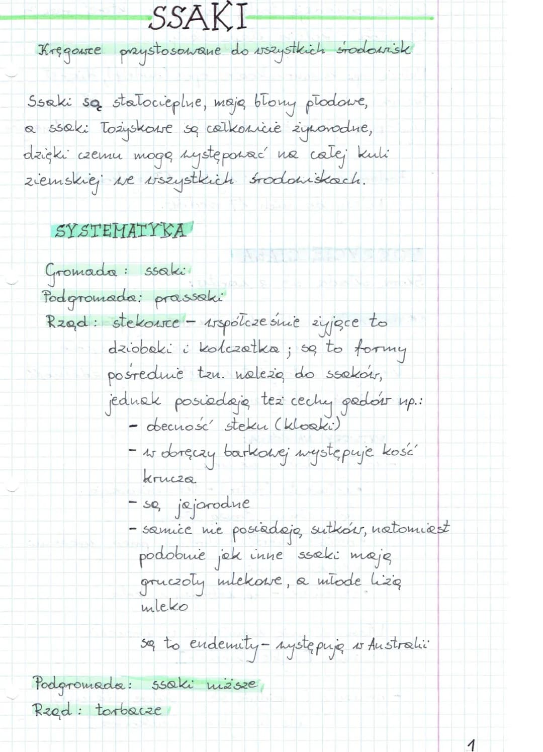 Ssaki Biologia: Rzędy Ssaki i Ich Przedstawiciele, Charakterystyka, Znaczenie