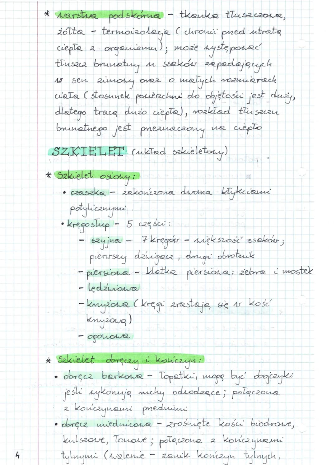 SSAKI
Kręgowce przystosowane do uszystkich środowisk
Ssaki są stałocieplne, mają błony płodowe,
a ssaki łożyskowe są całkowicie żyworodne,
d