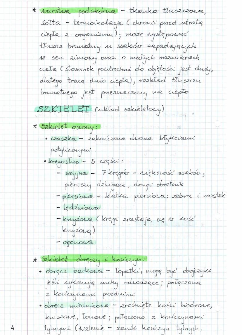SSAKI
Kręgowce przystosowane do uszystkich środowisk
Ssaki są stałocieplne, mają błony płodowe,
a ssaki łożyskowe są całkowicie żyworodne,
d