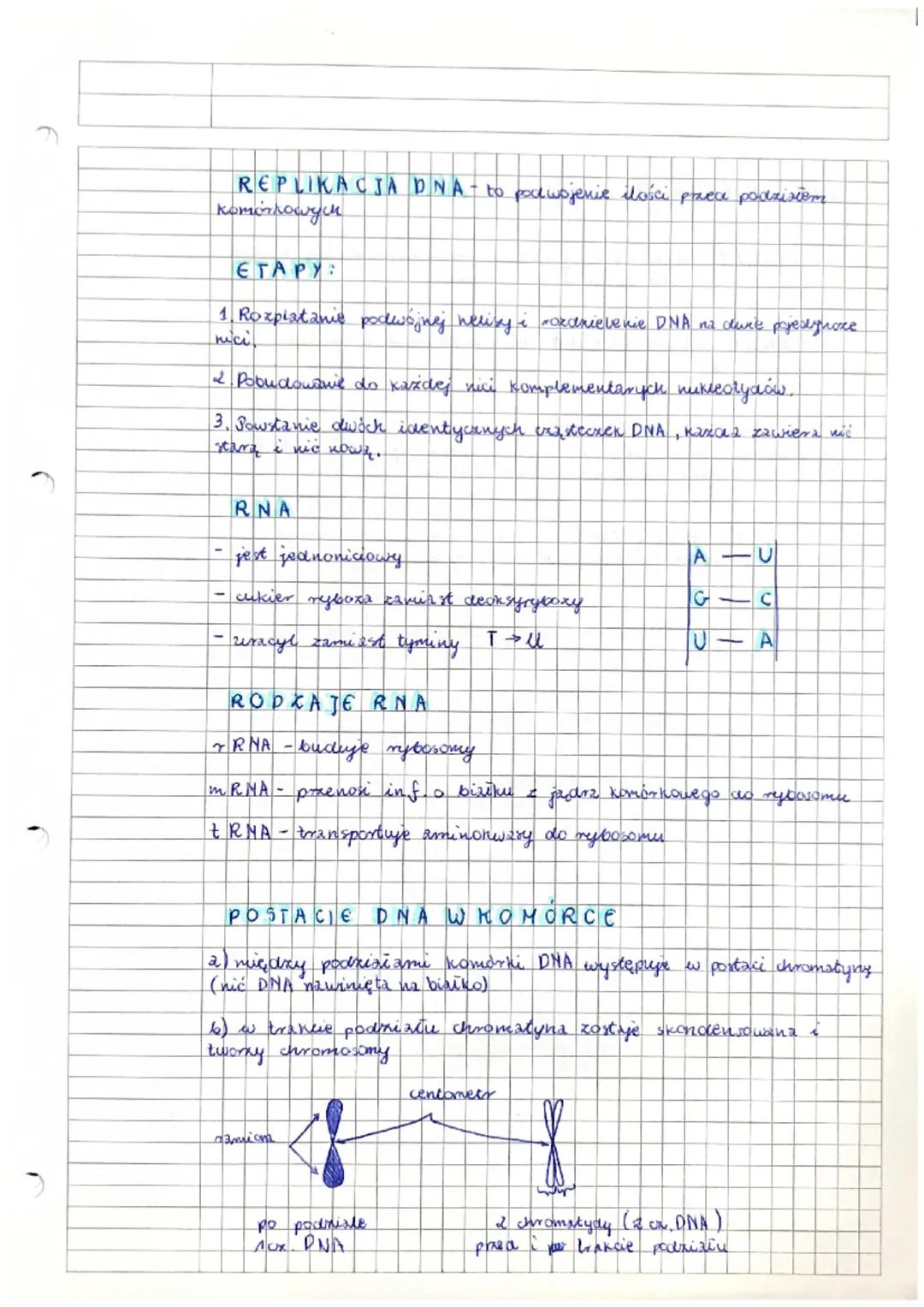 BIOLOGIA~

GENETYKA to nauka o driedriczeniu cech i zmierenosa
organikmu

RODZAJE CECH

cechy dziedziczne
(po rodzicach)
-Kolor skóry i wiow