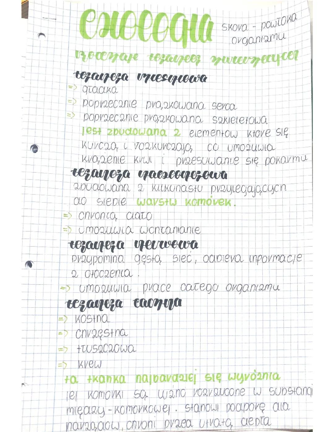 Biologia - skóra - powłoka organizmu