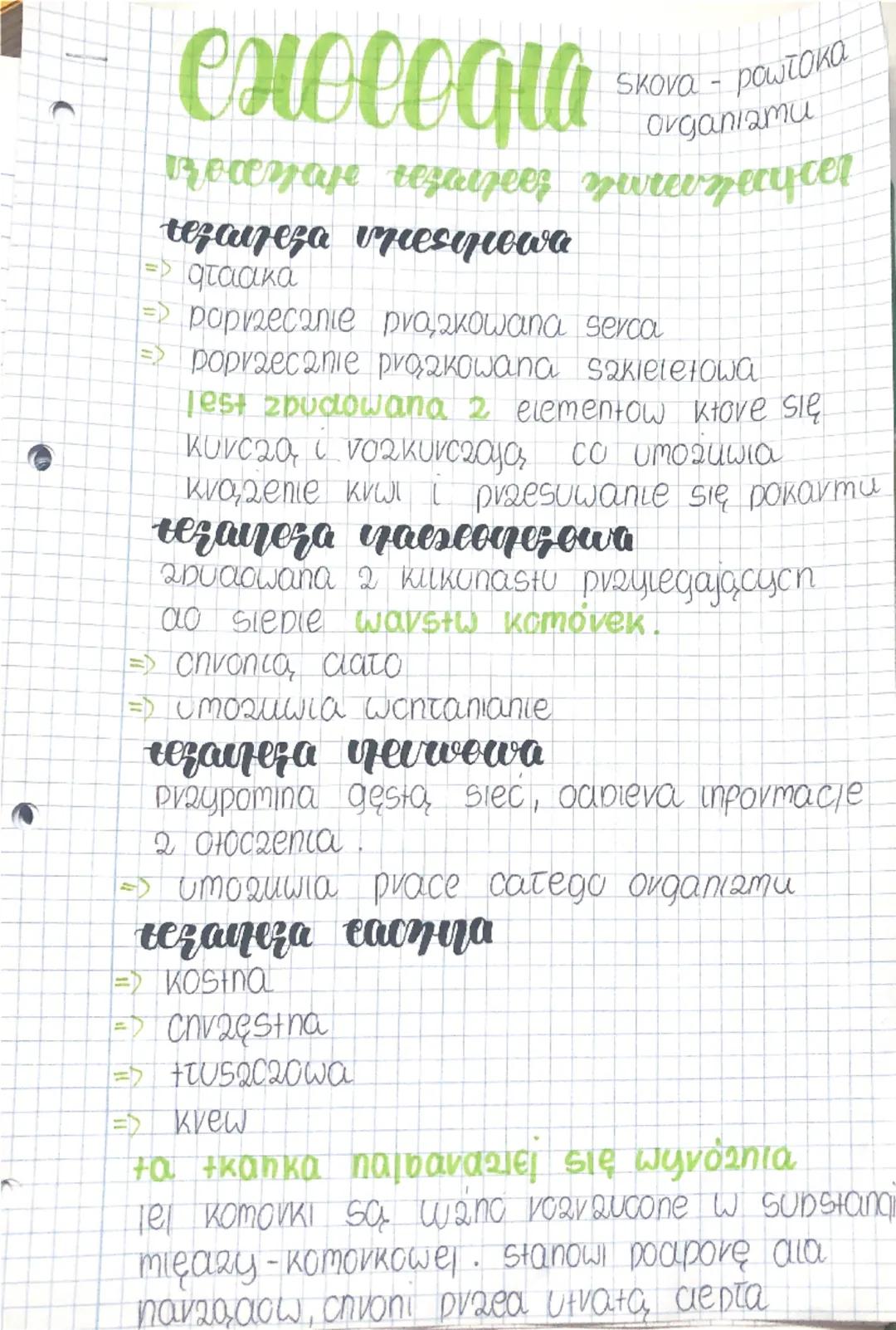 exoloqla
Skova-powłoka
organizmu
rodzaje rezayzeez zwrency cer
tezayeza vries quowa
=> graaka
=> poprzecanie praakowana serca
=> poprzecznie