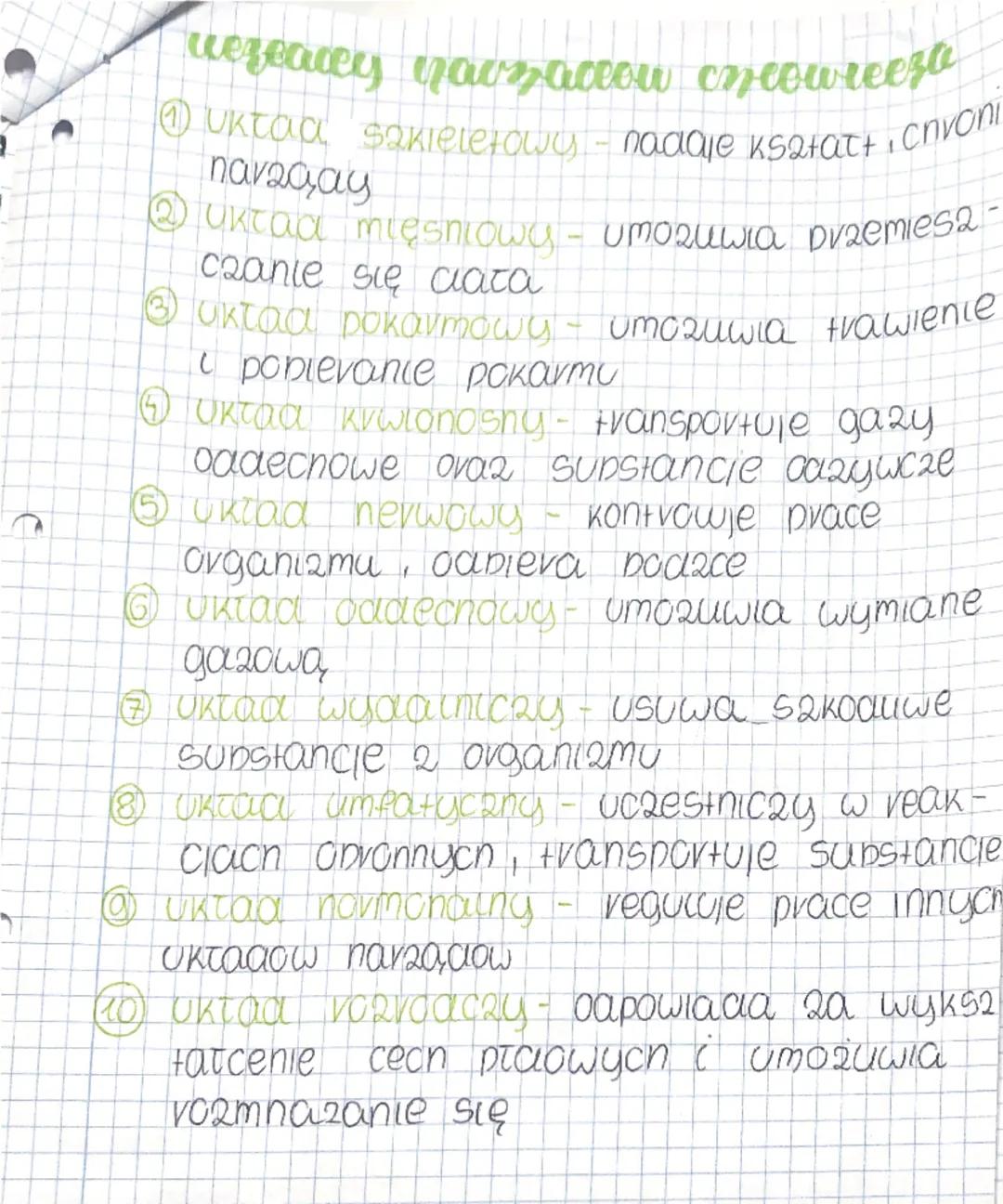 exoloqla
Skova-powłoka
organizmu
rodzaje rezayzeez zwrency cer
tezayeza vries quowa
=> graaka
=> poprzecanie praakowana serca
=> poprzecznie