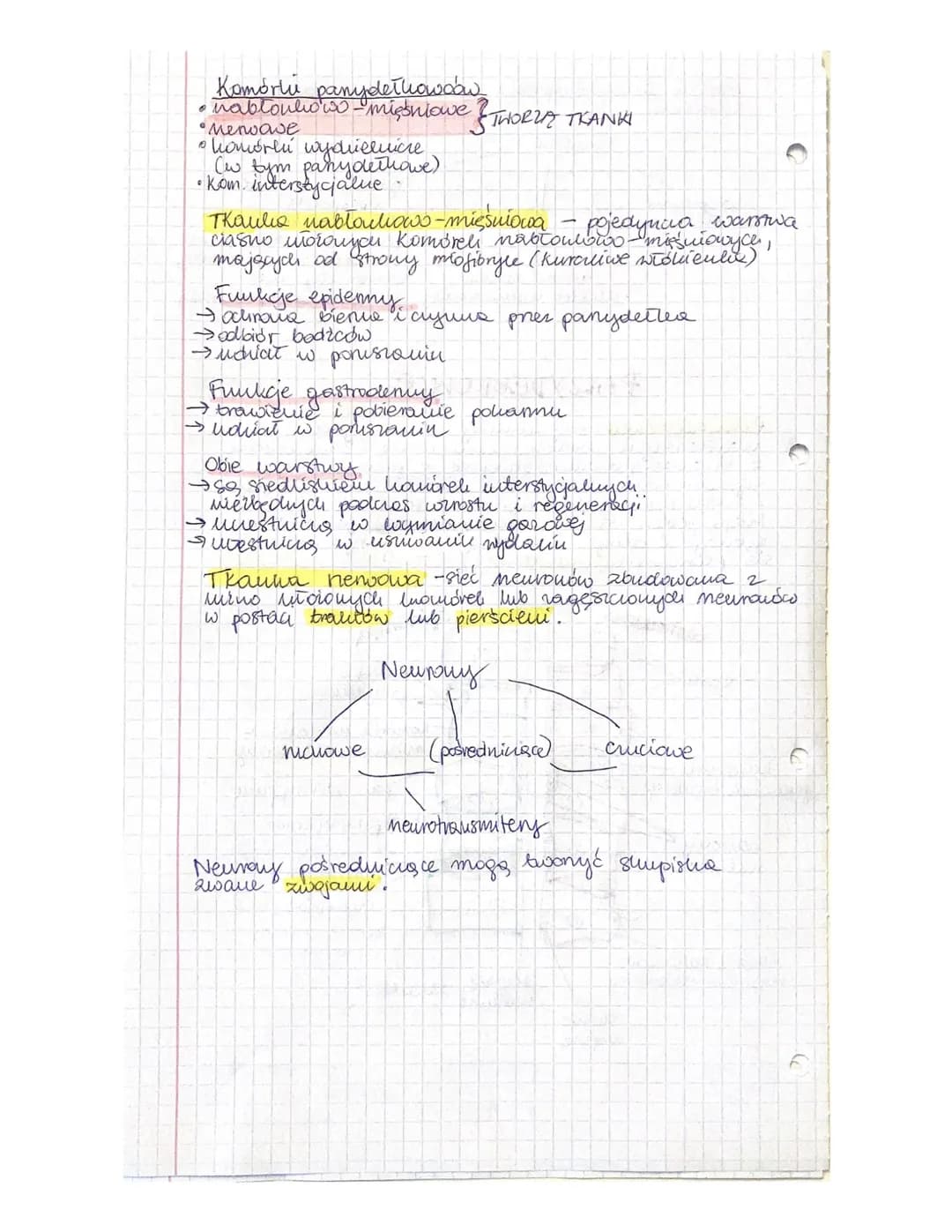 
<p>Parzydełkowce to organizmy, które należą do najstarszych wielokomórkowców. Charakteryzują się promienistą symetrią ciała i występują zar