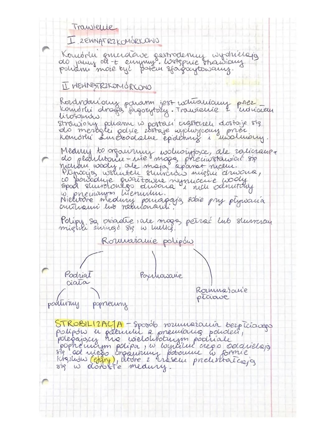 
<p>Parzydełkowce to organizmy, które należą do najstarszych wielokomórkowców. Charakteryzują się promienistą symetrią ciała i występują zar