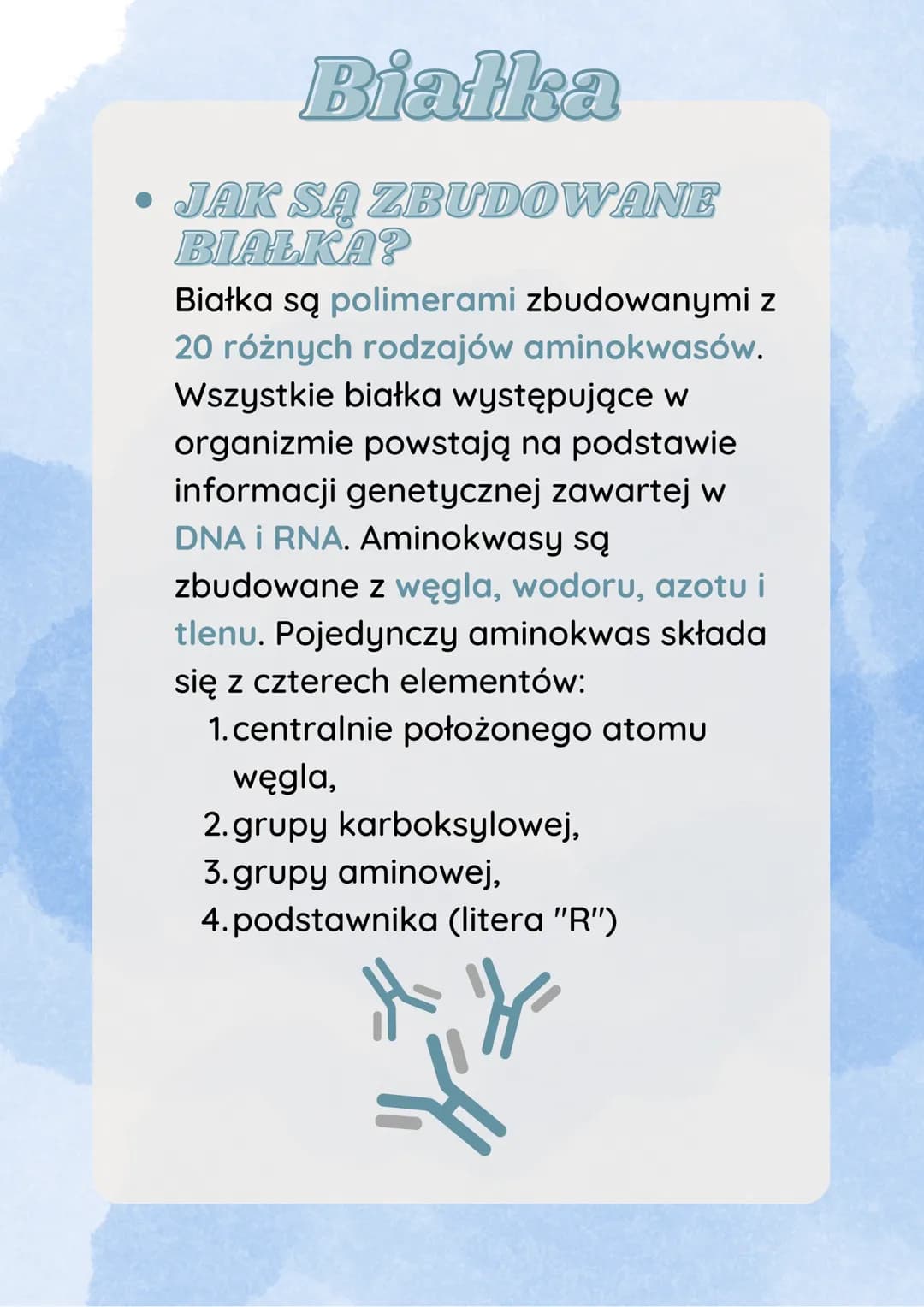 Białka
JAK SĄ ZBUDOWANE
BIAŁKA?
Białka są polimerami zbudowanymi z
20 różnych rodzajów aminokwasów.
Wszystkie białka występujące w
organizmi