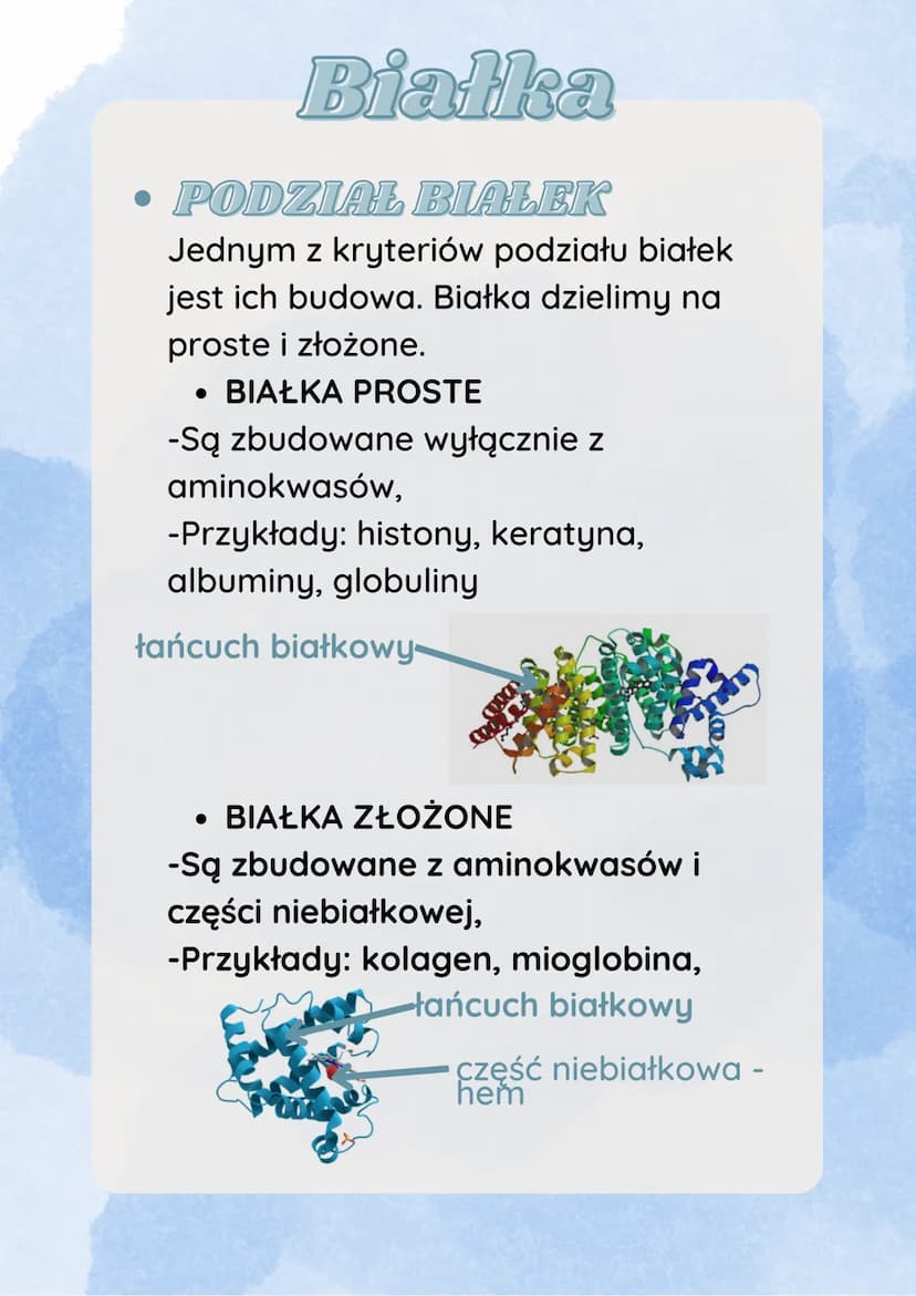 Białka
JAK SĄ ZBUDOWANE
BIAŁKA?
Białka są polimerami zbudowanymi z
20 różnych rodzajów aminokwasów.
Wszystkie białka występujące w
organizmi