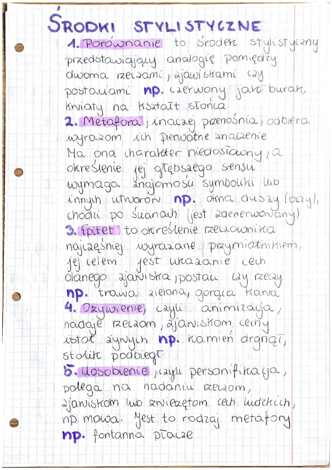 Środki stylistyczne w języku polskim