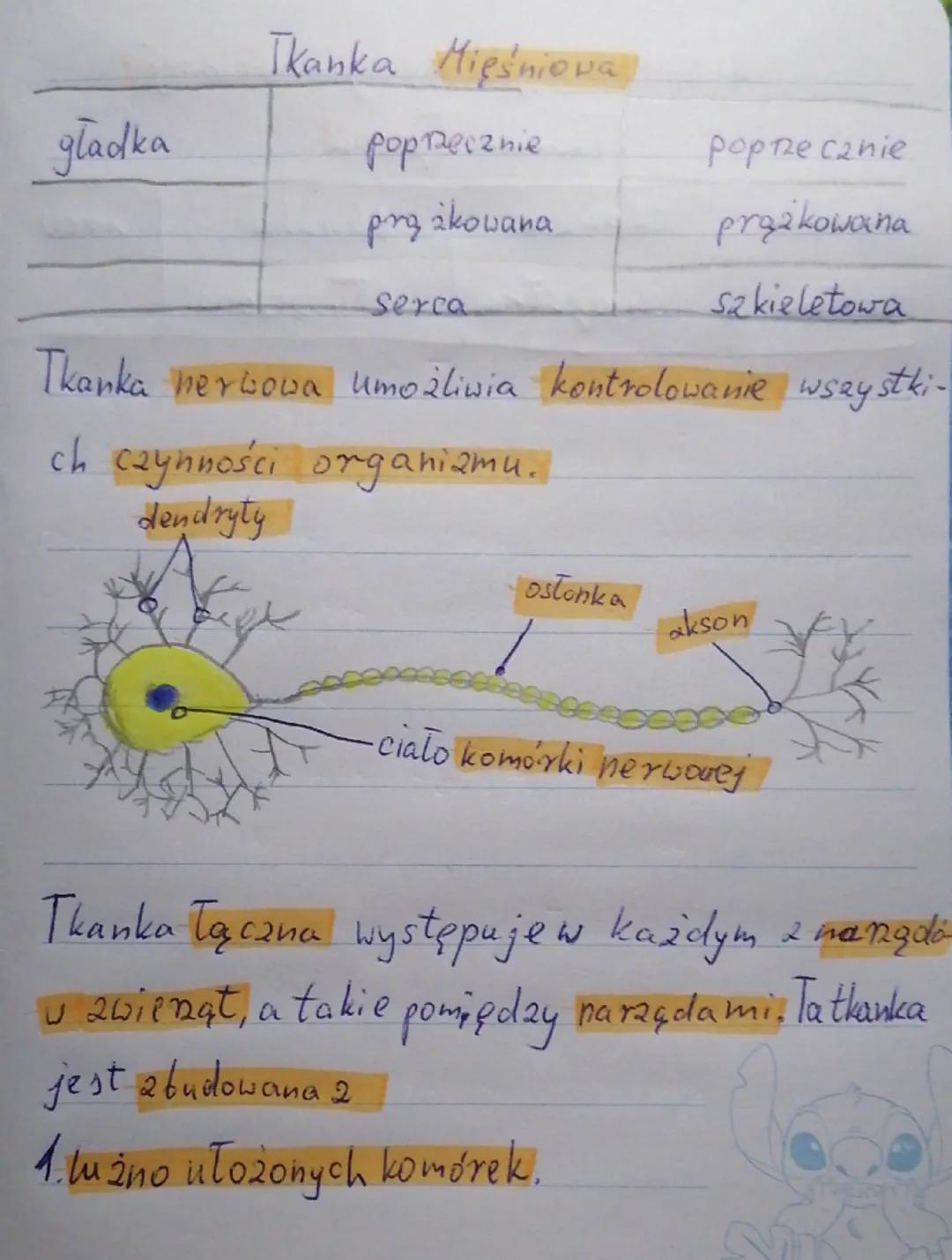 Biologia kl. 16. dział 1
# Swiat zwiengt

Wspólne kechy zwiengt
1
1. są organizmami vielbtomórkowymi
2. Są zbudowane z komórek jądrowych, ni