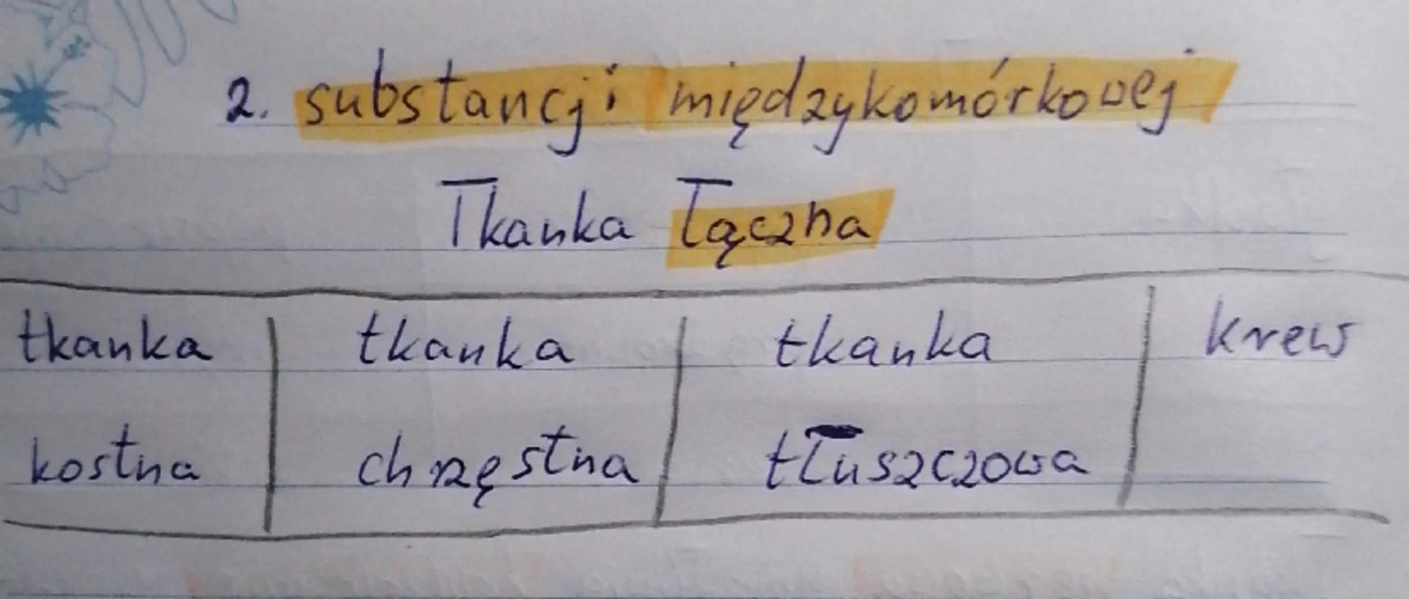 Biologia kl. 16. dział 1
# Swiat zwiengt

Wspólne kechy zwiengt
1
1. są organizmami vielbtomórkowymi
2. Są zbudowane z komórek jądrowych, ni