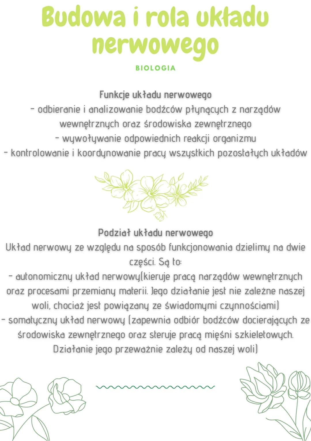 Budowa i rola układu
nerwowego
BIOLOGIA
Funkcje układu nerwowego
odbieranie i analizowanie bodźców płynących z narządów
wewnętrznych oraz śr