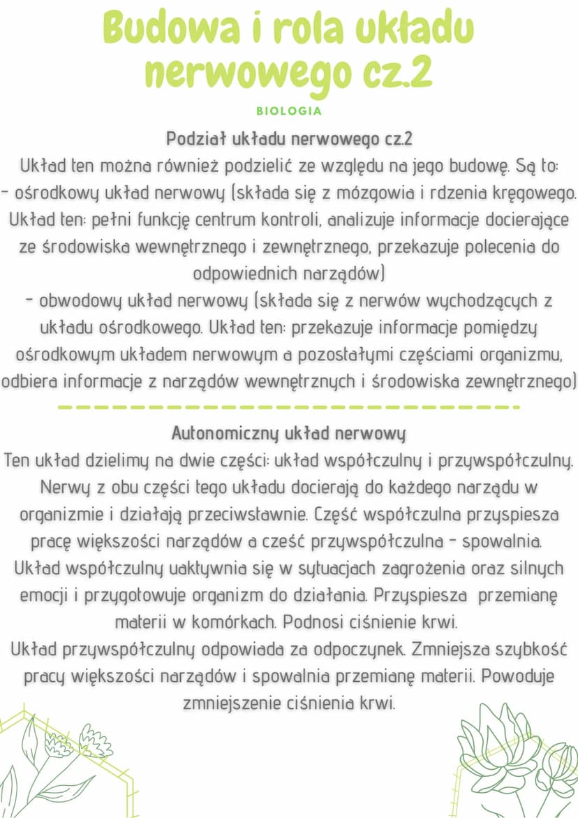 Budowa i rola układu
nerwowego
BIOLOGIA
Funkcje układu nerwowego
odbieranie i analizowanie bodźców płynących z narządów
wewnętrznych oraz śr