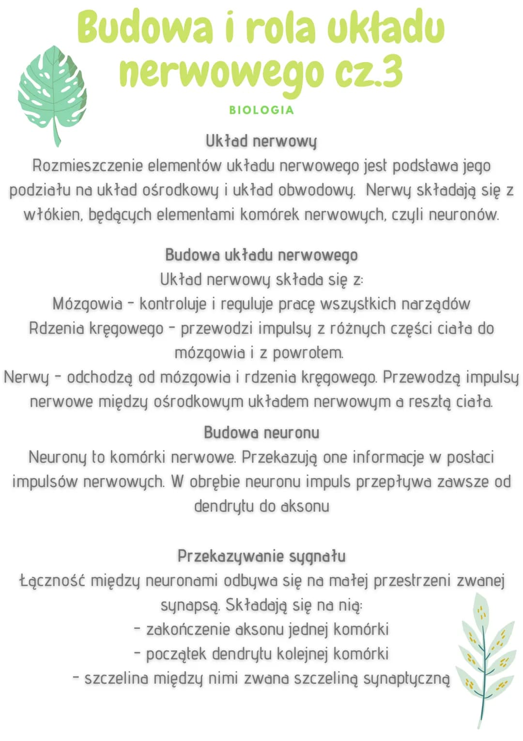 Budowa i rola układu
nerwowego
BIOLOGIA
Funkcje układu nerwowego
odbieranie i analizowanie bodźców płynących z narządów
wewnętrznych oraz śr