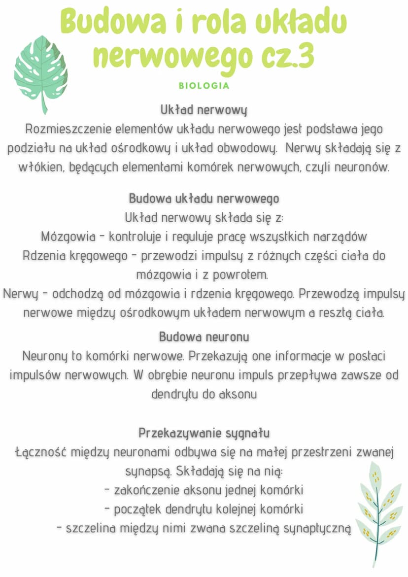 Budowa i rola układu
nerwowego
BIOLOGIA
Funkcje układu nerwowego
odbieranie i analizowanie bodźców płynących z narządów
wewnętrznych oraz śr