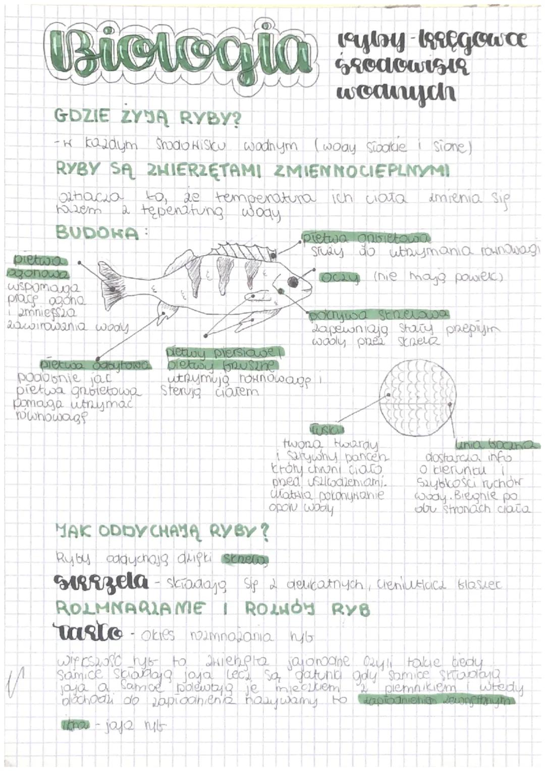 Biologia vyboy-kręgow a
grodowisir
wodnych
GDZIE ZYJĄ RYBY?
-w kazdym Shodowisku wodnym (woay słodkie
RYBY SĄ ZWIERZĘTAMI ZMIEN NOCIEPLNYMI
