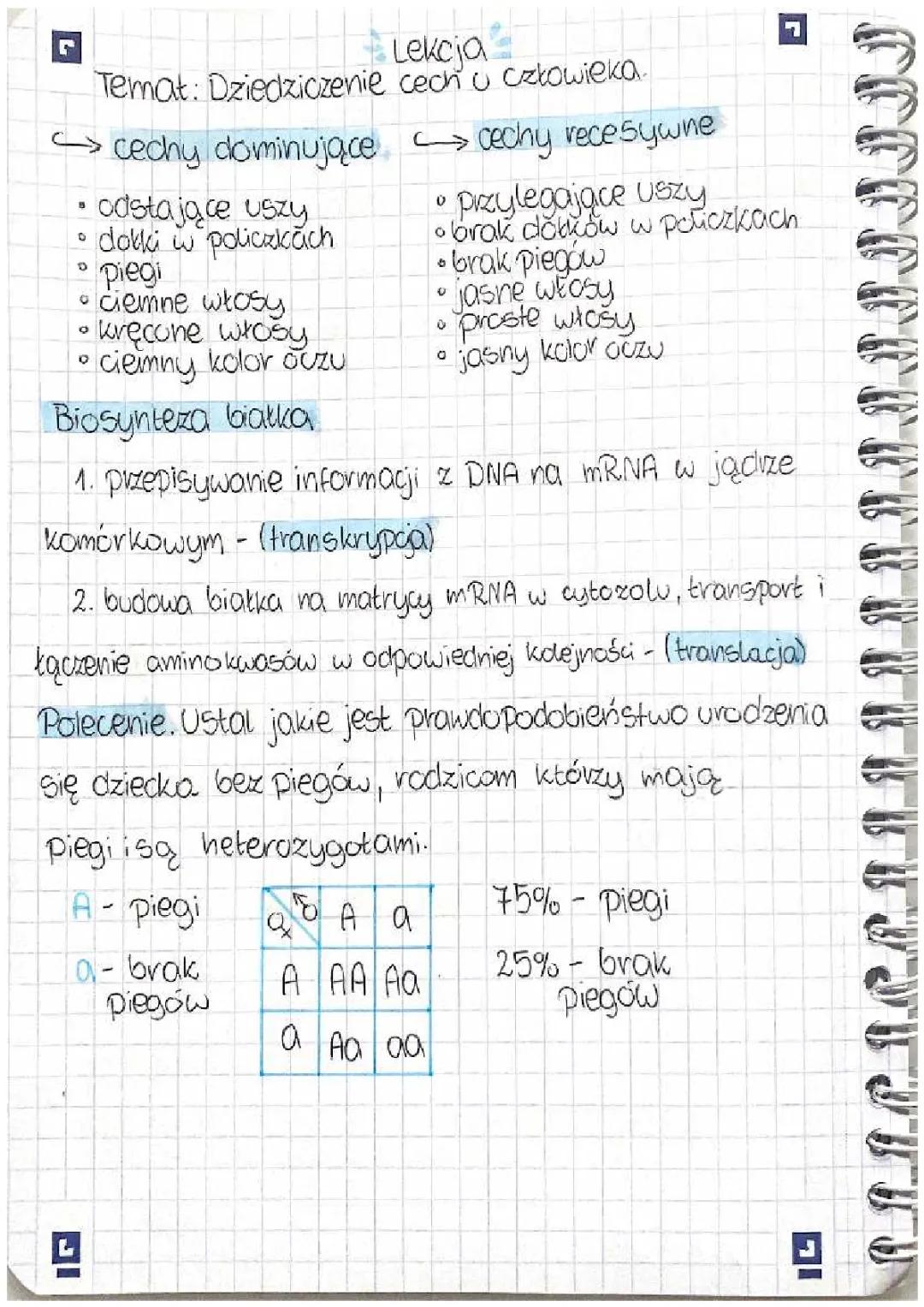 Biologia dziedziczenie cech u człowieka 