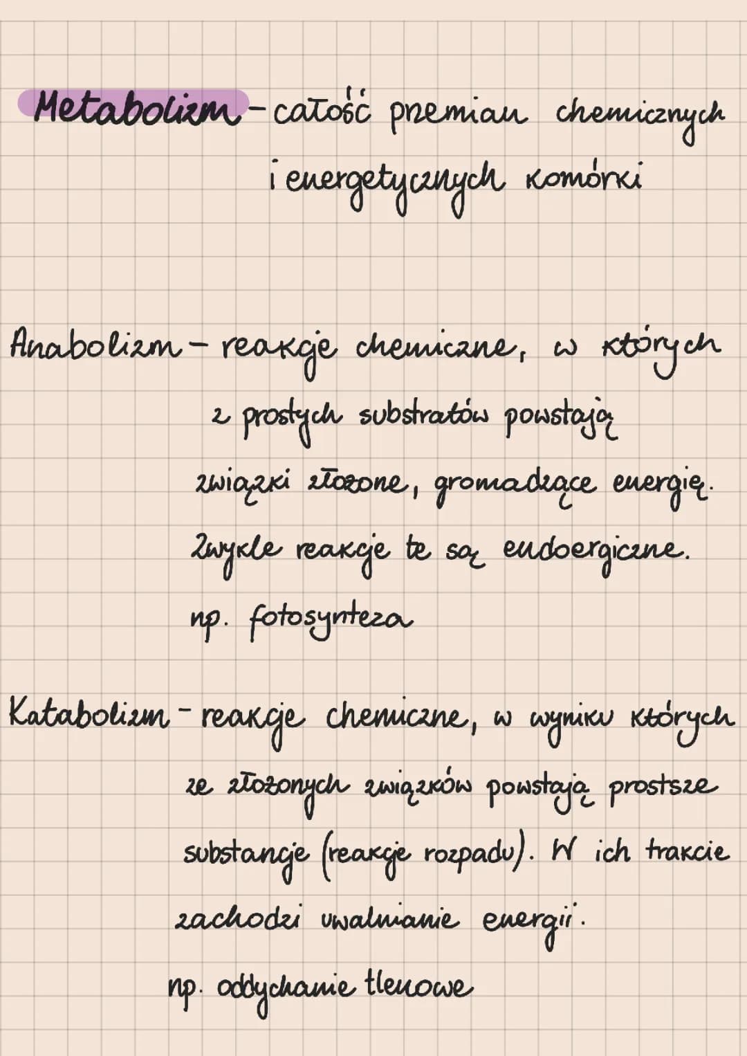 Metabolizm
