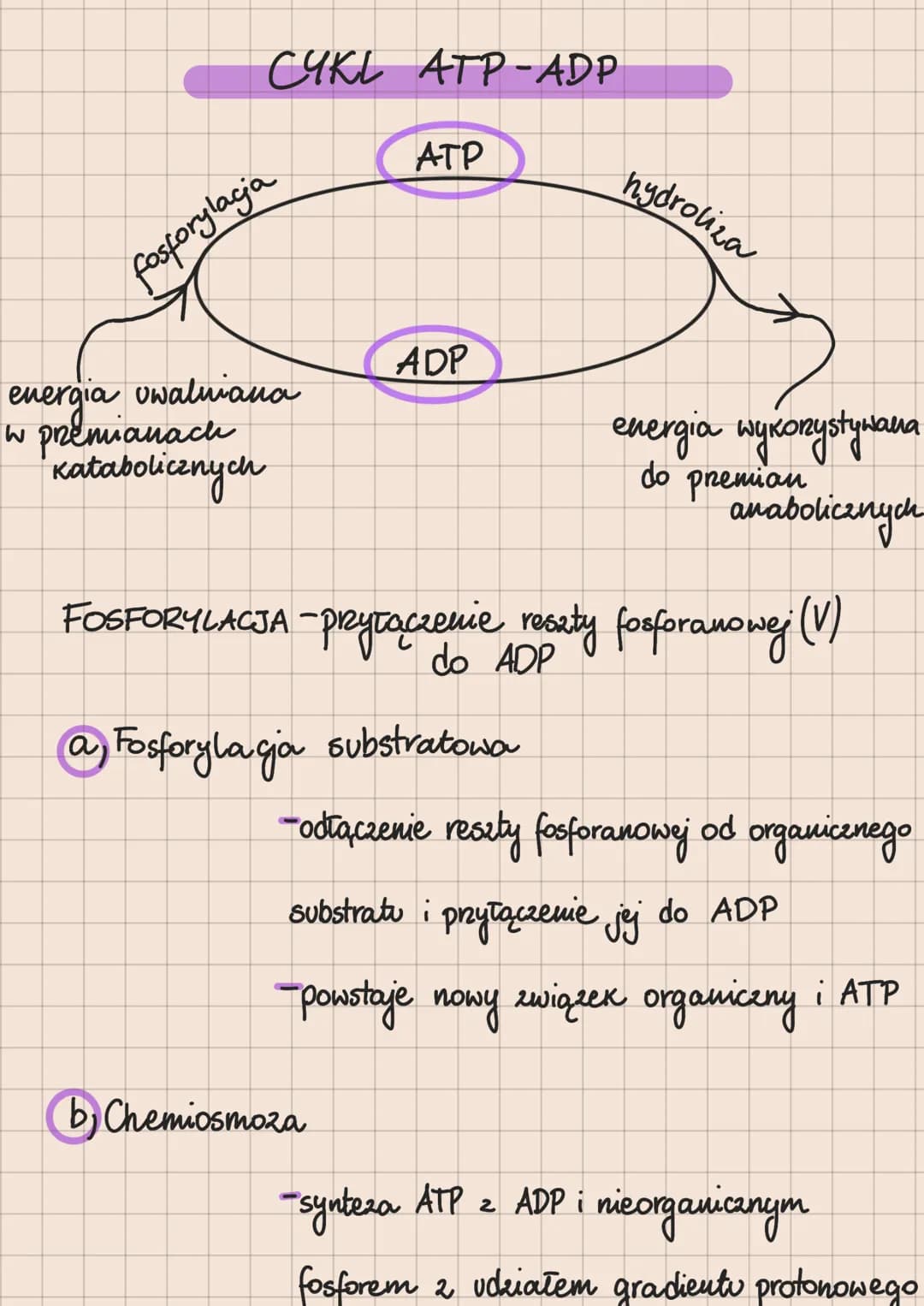Metabolizm – całość przemian chemicznych
i energetycznych komórki
Anabolizm - reakcje chemiczne, w
2 prostych substratów powstają
których
zw