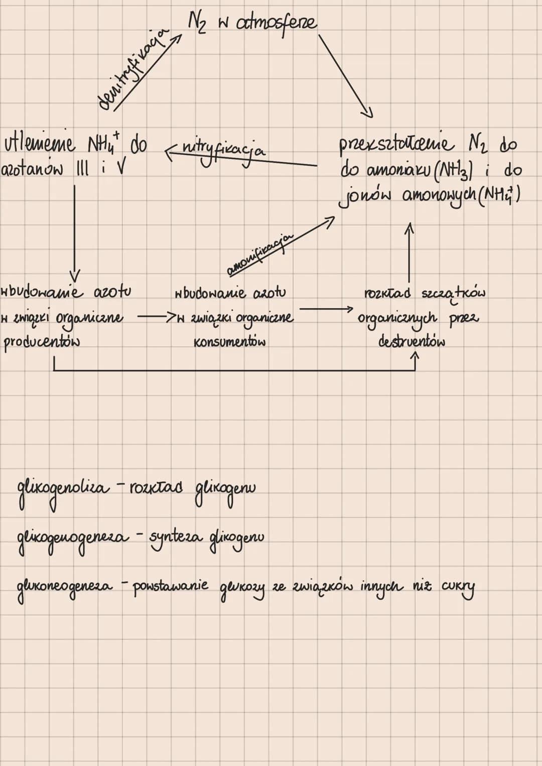 Metabolizm – całość przemian chemicznych
i energetycznych komórki
Anabolizm - reakcje chemiczne, w
2 prostych substratów powstają
których
zw