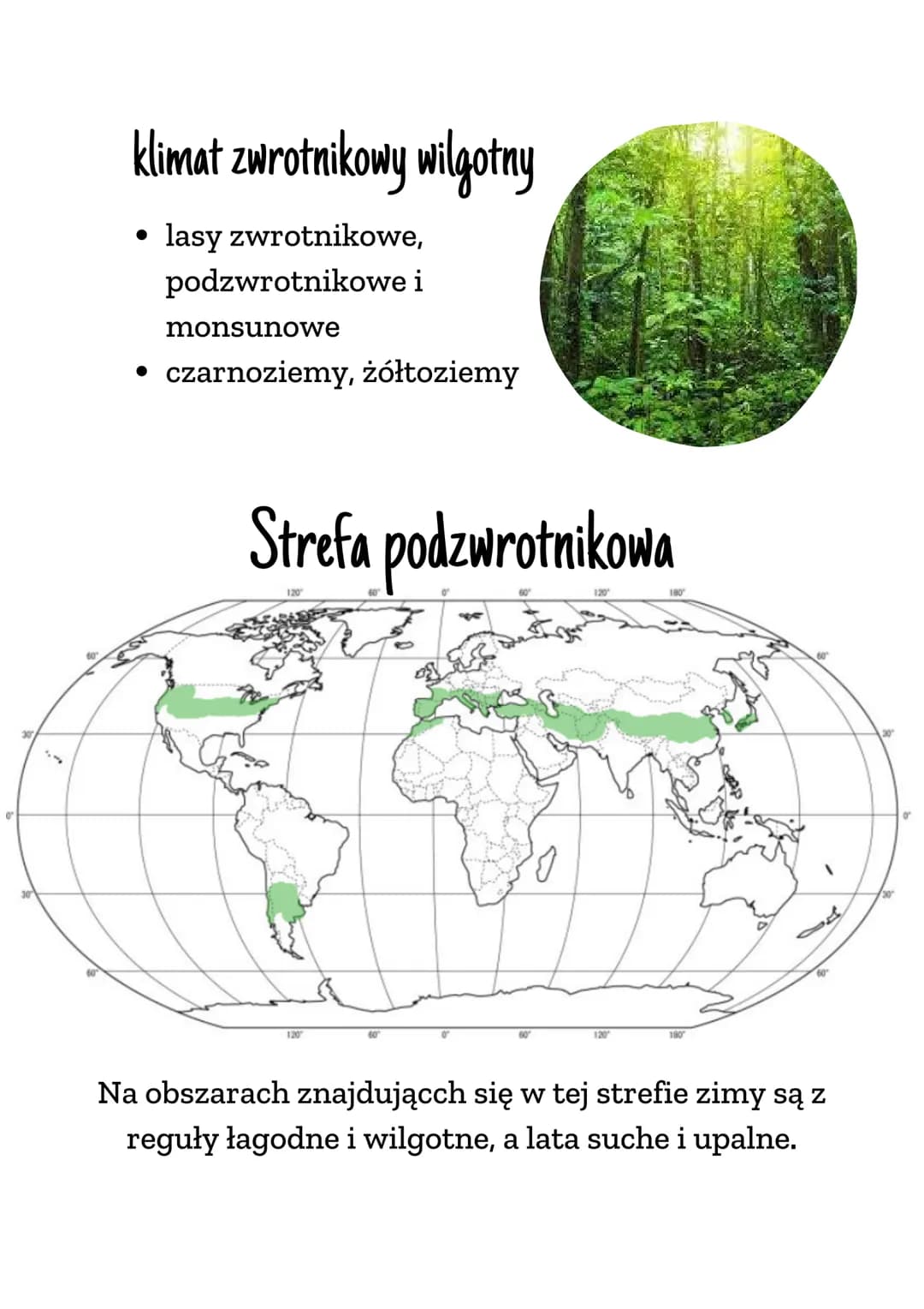STREFY
KLIMATYCZNE I
KRAJOBRAZOWE
Strefa równikowa
120
120
180
180
charakterystyczne dla tej strefy są bujne lasy
równikowe, wraz ze zmniejs
