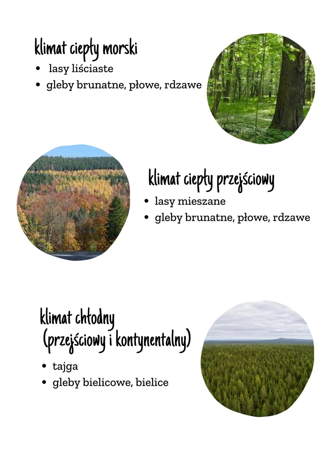 STREFY
KLIMATYCZNE I
KRAJOBRAZOWE
Strefa równikowa
120
120
180
180
charakterystyczne dla tej strefy są bujne lasy
równikowe, wraz ze zmniejs
