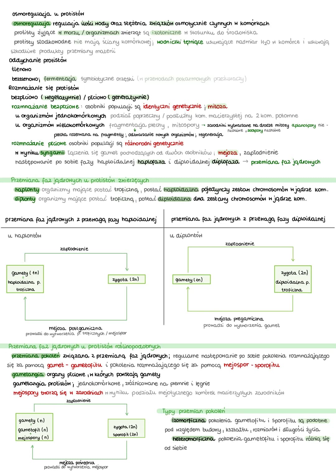 Protisty
jednokomórkowe / kolonijne/ wielokomórkowe
zwierzęce jednokomórkowe/ kolonijne; budowa podobna do komórki zwierzęcej, heterotroficz