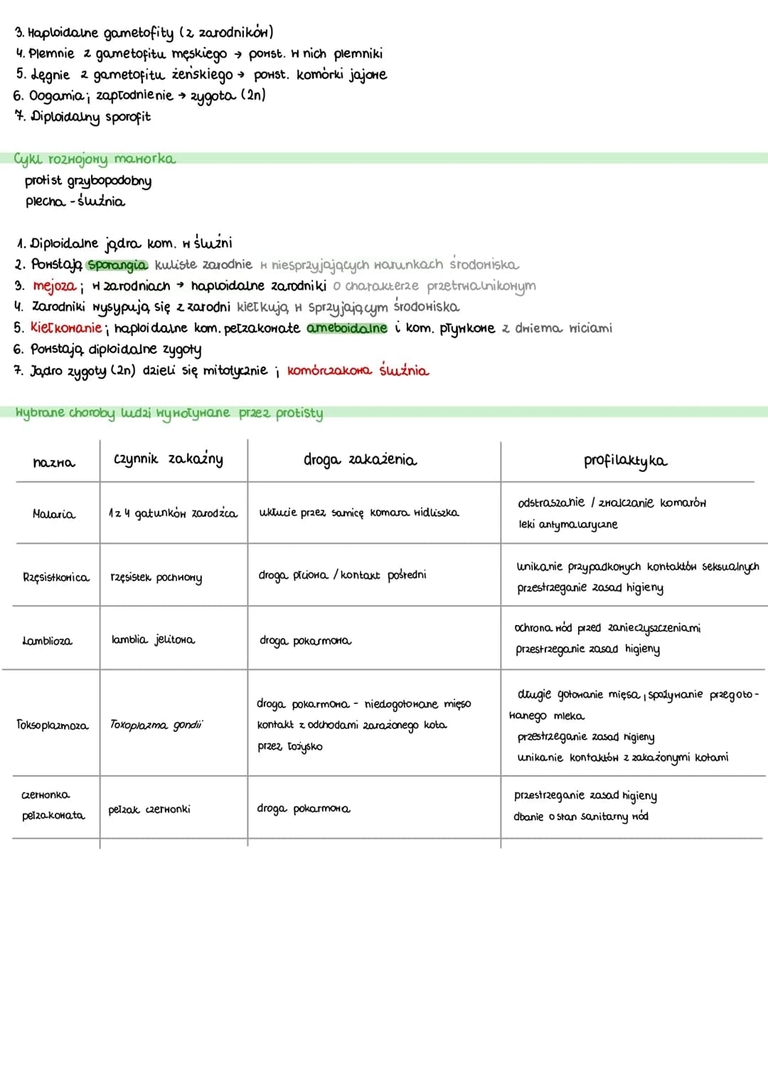 Protisty
jednokomórkowe / kolonijne/ wielokomórkowe
zwierzęce jednokomórkowe/ kolonijne; budowa podobna do komórki zwierzęcej, heterotroficz