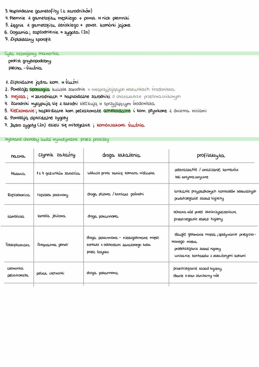 Protisty
jednokomórkowe / kolonijne/ wielokomórkowe
zwierzęce jednokomórkowe/ kolonijne; budowa podobna do komórki zwierzęcej, heterotroficz