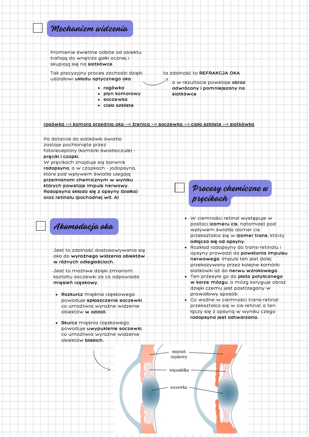 --- OCR Start ---
Narządy zmysłów człowieka
(oko oraz ucho)
Receptory służą do odbioru
bodźców, do których należą wolne
zakończenia nerwowe 