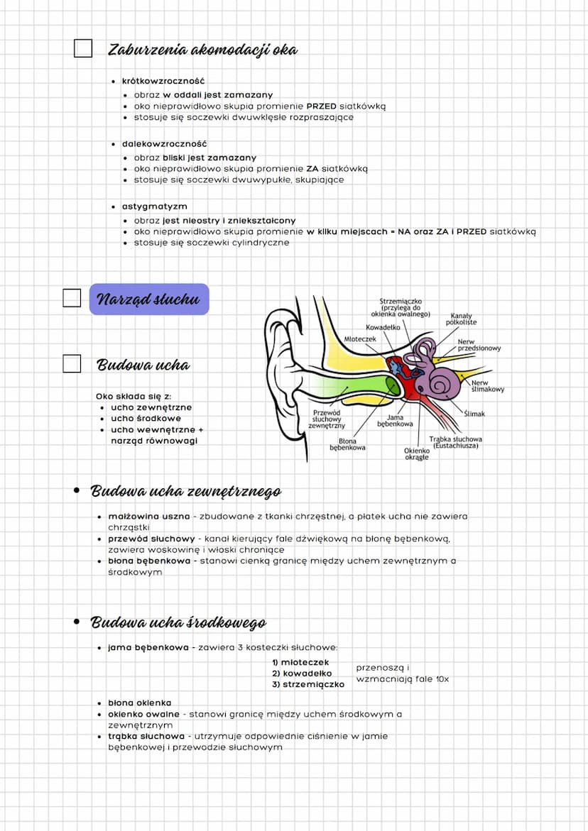 --- OCR Start ---
Narządy zmysłów człowieka
(oko oraz ucho)
Receptory służą do odbioru
bodźców, do których należą wolne
zakończenia nerwowe 