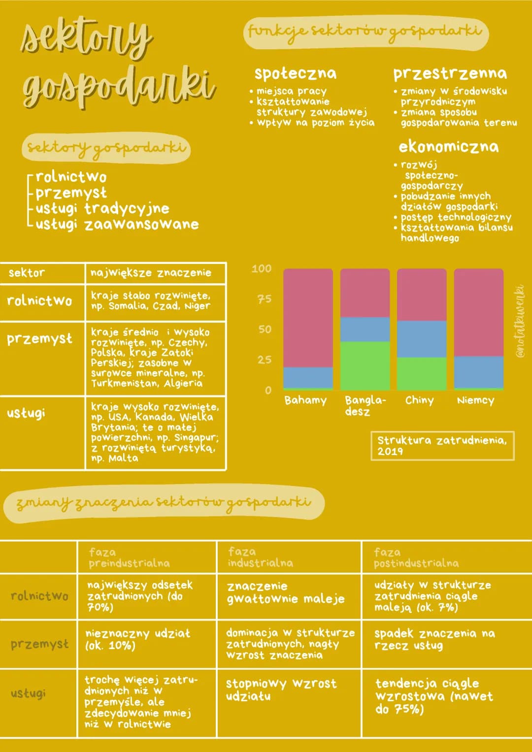 Czym są sektory gospodarki i jak globalizacja wpływa na naszą gospodarkę?