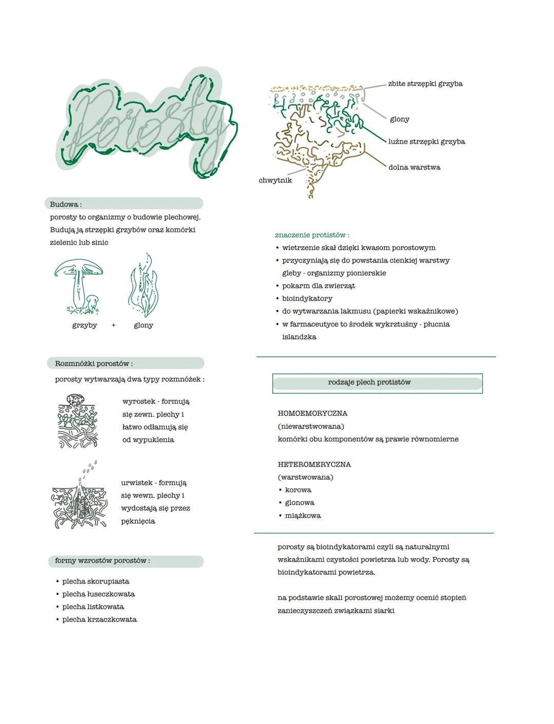 Porosty: Kluczowe Informacje Dla Biologii Rozszerzonej
