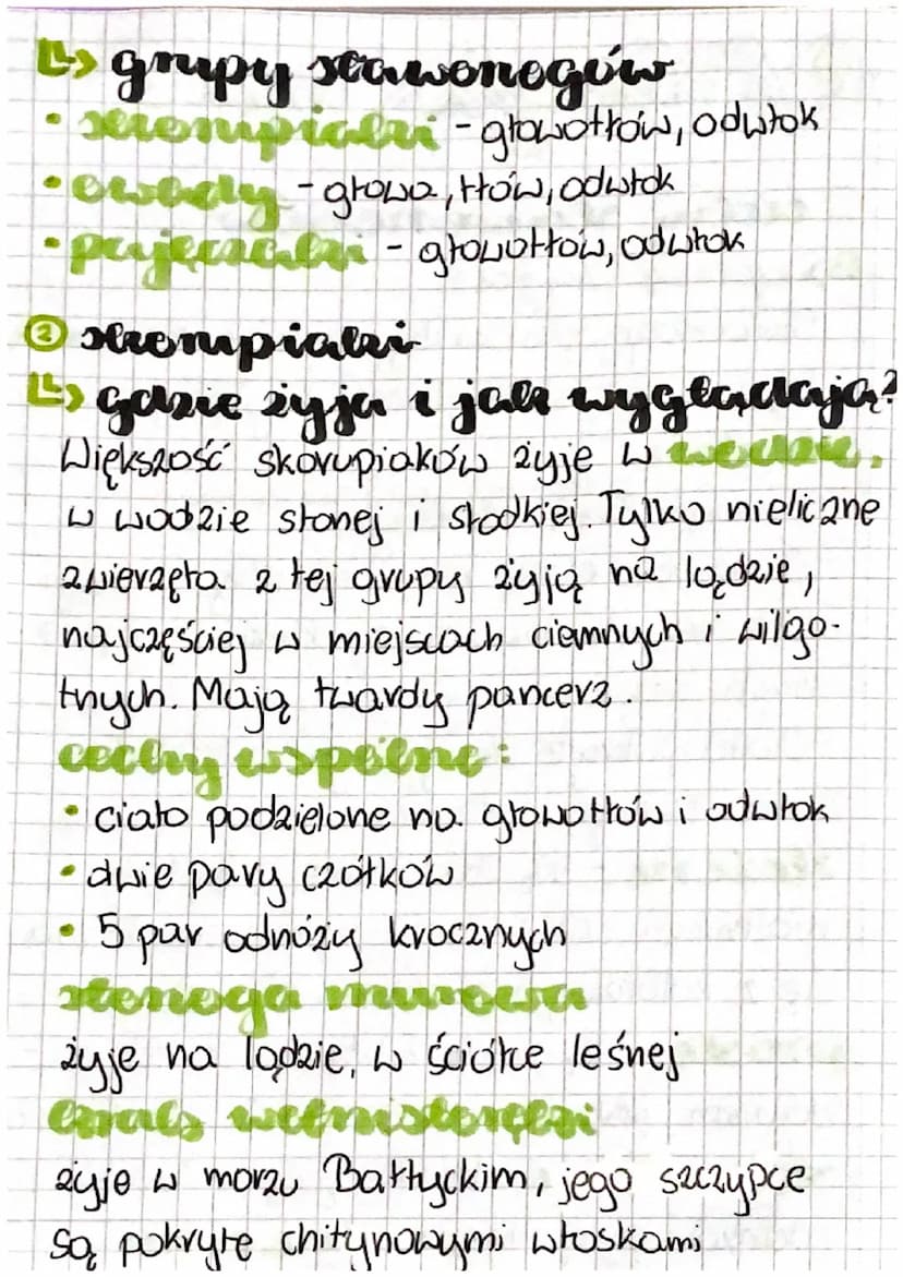 cial 3
O
cedry stawe nogów
Ls gazie żyje?
Stawonogi opanowały niemal assalline
no
typy srodowisk, Najliczniej występują
lackie
L> wspólne ce