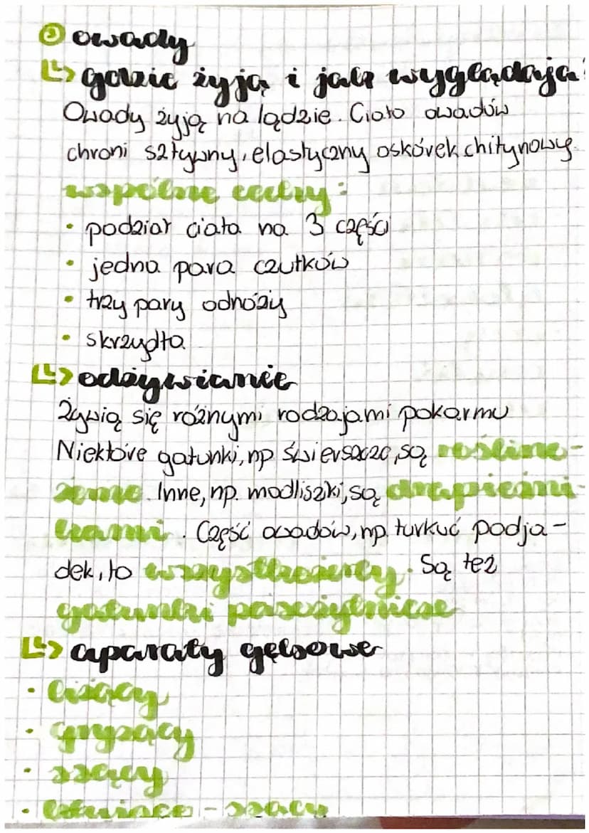 cial 3
O
cedry stawe nogów
Ls gazie żyje?
Stawonogi opanowały niemal assalline
no
typy srodowisk, Najliczniej występują
lackie
L> wspólne ce