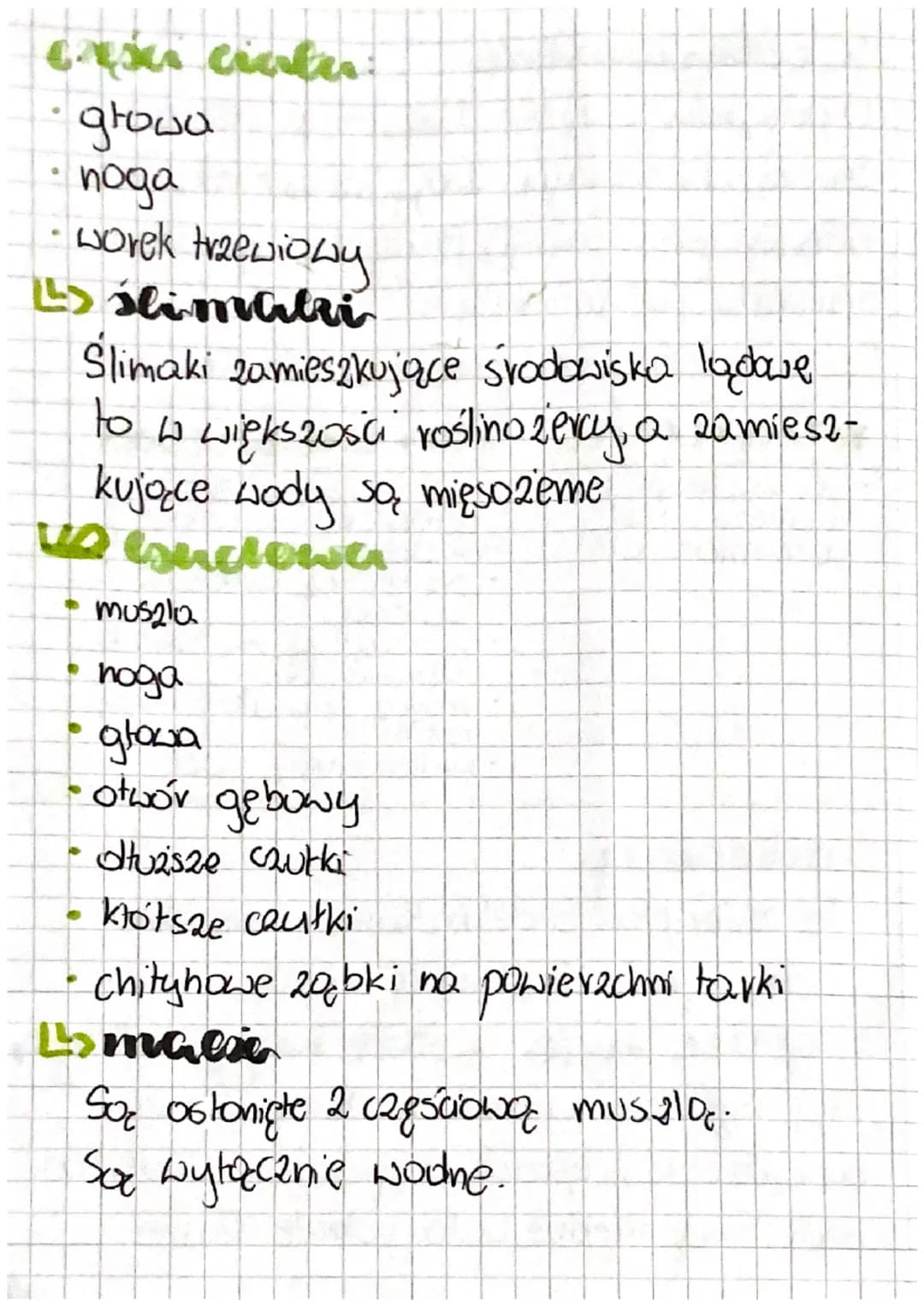 cial 3
O
cedry stawe nogów
Ls gazie żyje?
Stawonogi opanowały niemal assalline
no
typy srodowisk, Najliczniej występują
lackie
L> wspólne ce