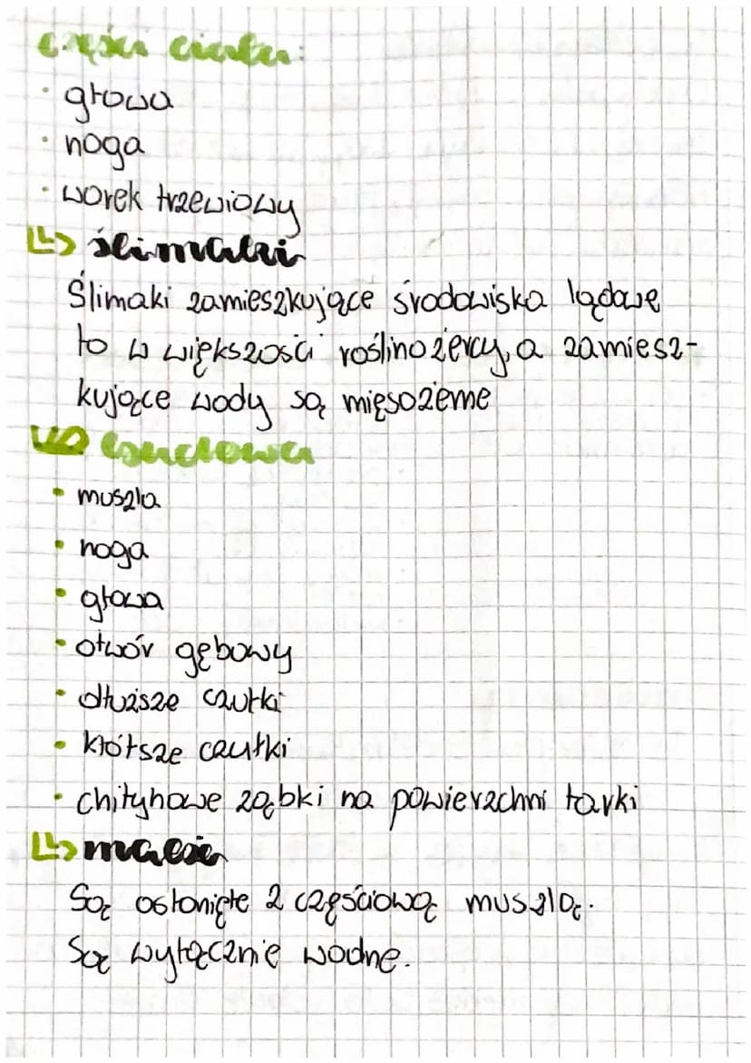 cial 3
O
cedry stawe nogów
Ls gazie żyje?
Stawonogi opanowały niemal assalline
no
typy srodowisk, Najliczniej występują
lackie
L> wspólne ce
