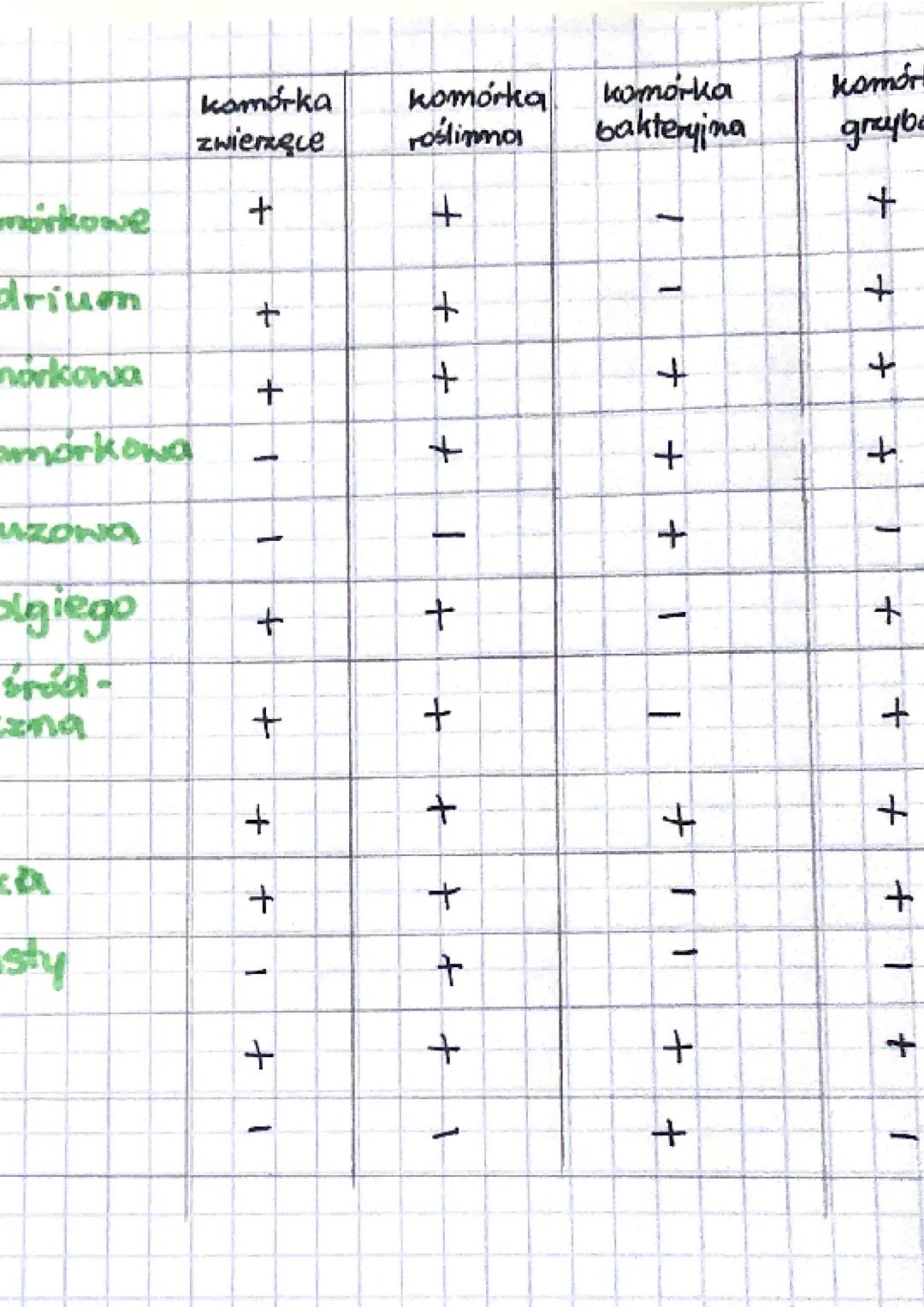 biologia
jądro komórkowe kieruje wszystkimi procesami
wytwarza energie
ochrania, transportuje substancje...
mitochondrium
=
= błona komórkow