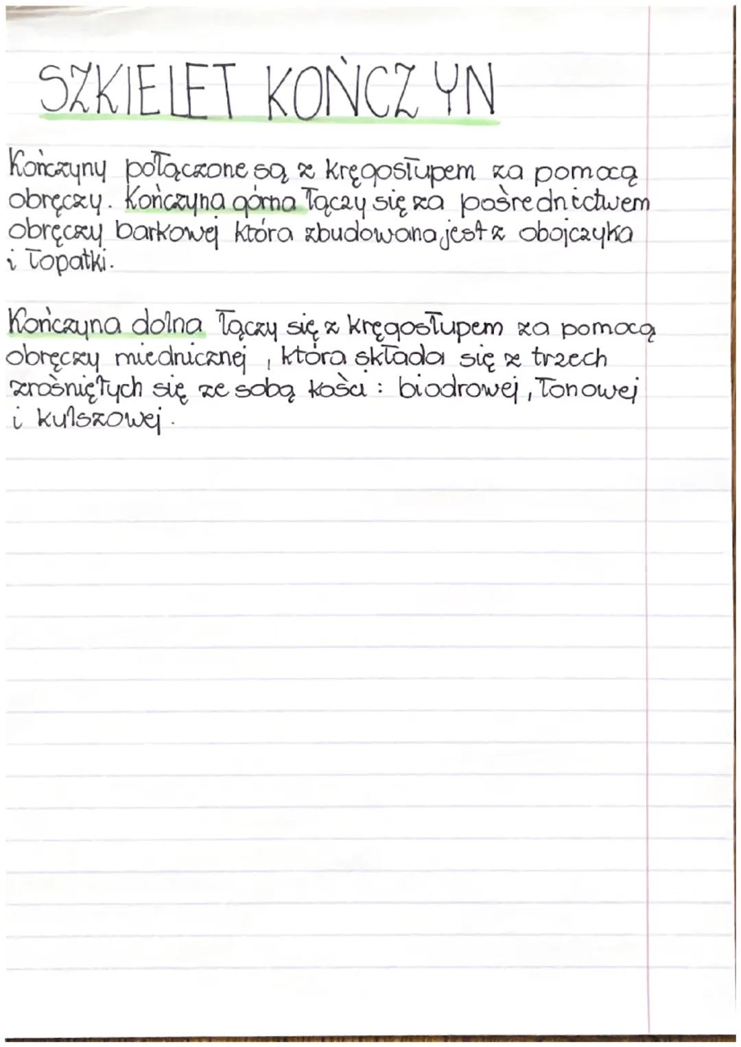 BUDOWA KOSCI
Budowa chemiczna koša.
W skład chemiczny kości wchodzi tkanka kostna i
chrzestna. Ale i również związki mineralne i organiczne.