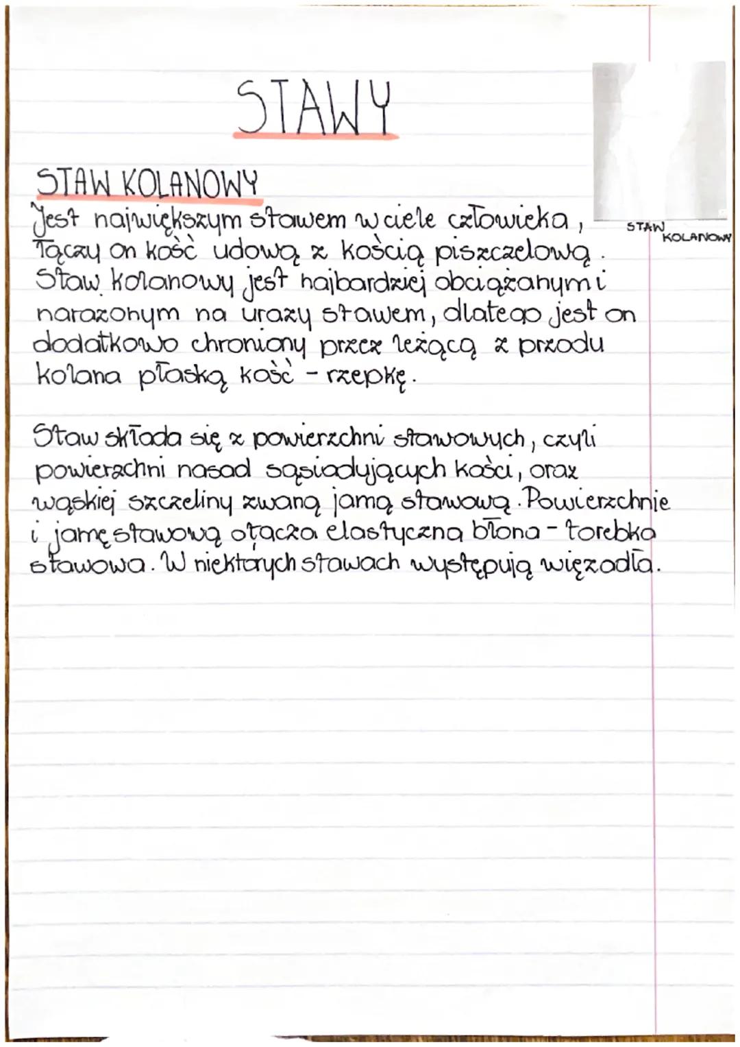 BUDOWA KOSCI
Budowa chemiczna koša.
W skład chemiczny kości wchodzi tkanka kostna i
chrzestna. Ale i również związki mineralne i organiczne.