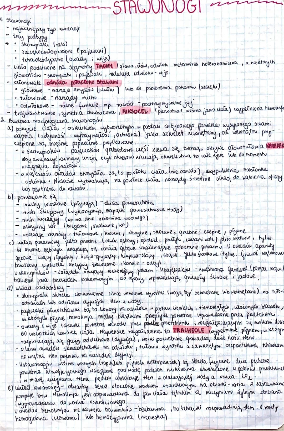 Stawonogi: Układ pokarmowy, Skorupiaki i Inne Cechy - Matura Biologia 2023