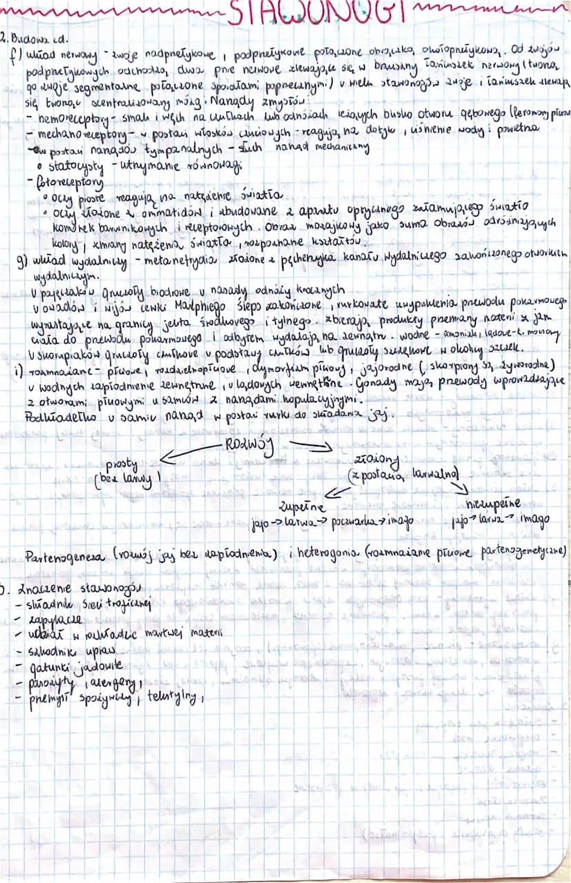 1. Stawonogi
najliczniejszy typ zwienot
thy podtypy
Skorupiaki (rak)
эхладносниторожовие в рајдеакі)
tchawkodysane (owady i wije)
ciało podz