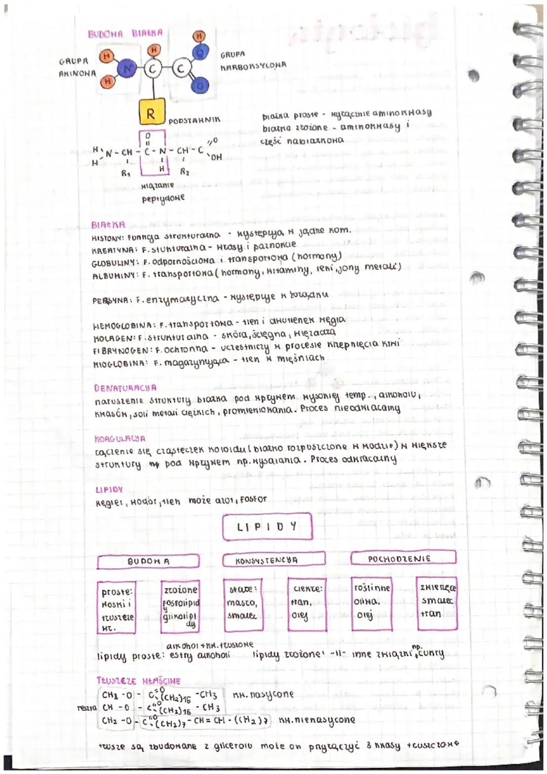 biologia
MAKRO I MIKROELEMENTY
1
↑ manroelementy (biogenne- ,,B, N, P,s) Ca, Mg, K, Na, a
mikroelementy : Fe, Cu, I, F, CO
ZNACZENIE
TLEN: S