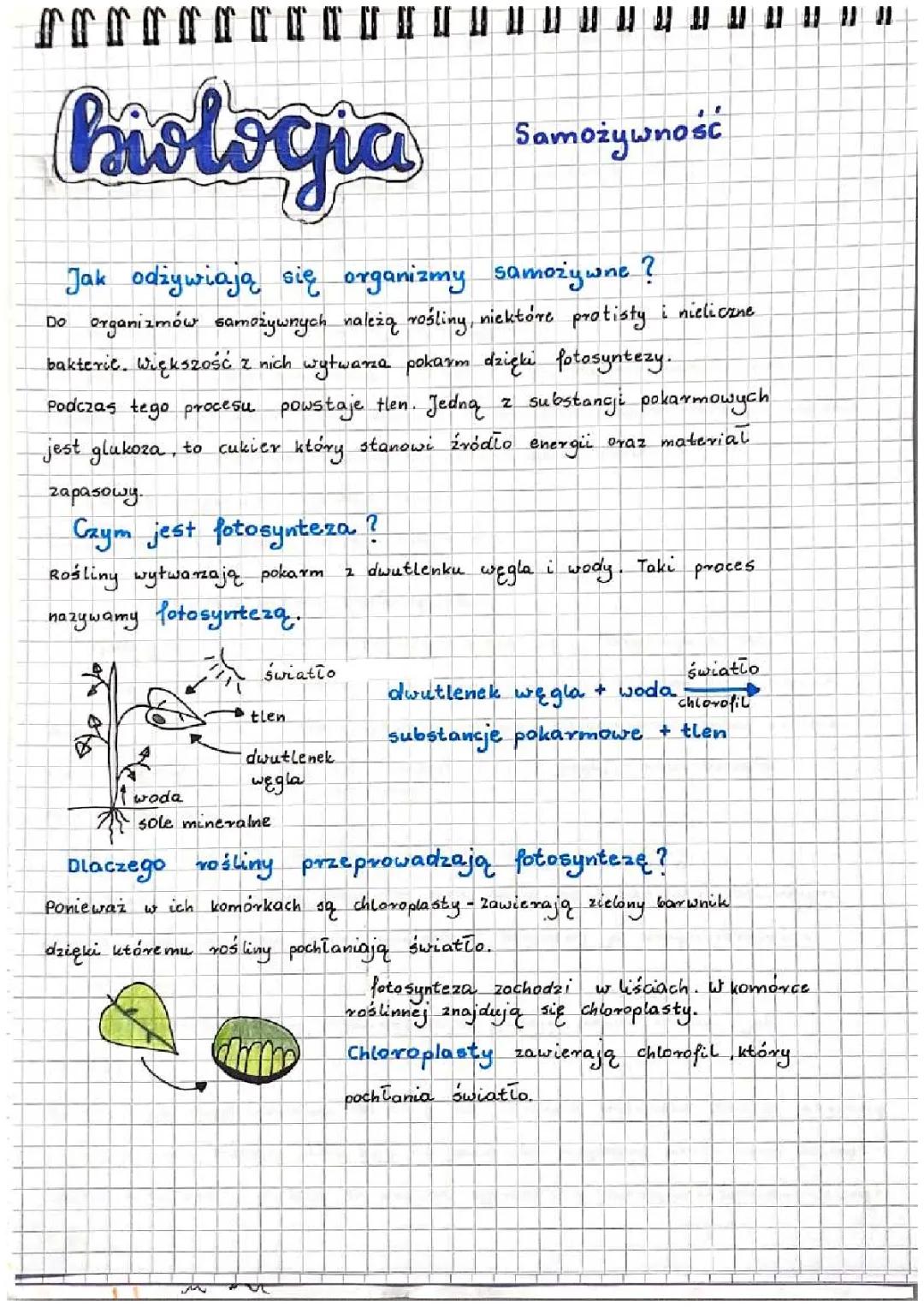 Samożywność: Wszystko, Co Musisz Wiedzieć