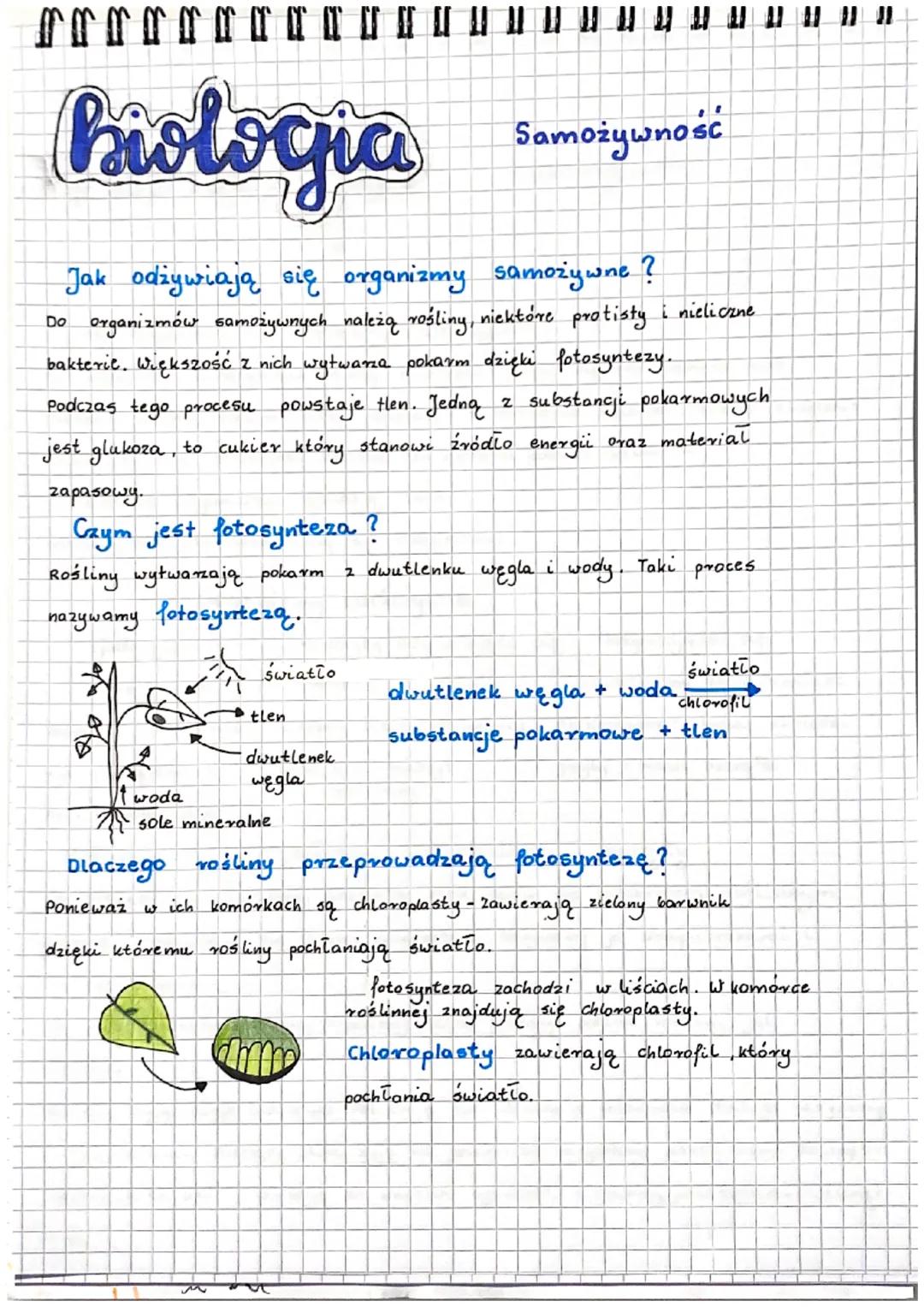 Biologia
Jak odżywiają się organizmy samożywne?
organizmów samożywnych należą rośling, niektóre protisty i nieliczne
bakterie. Większość z n