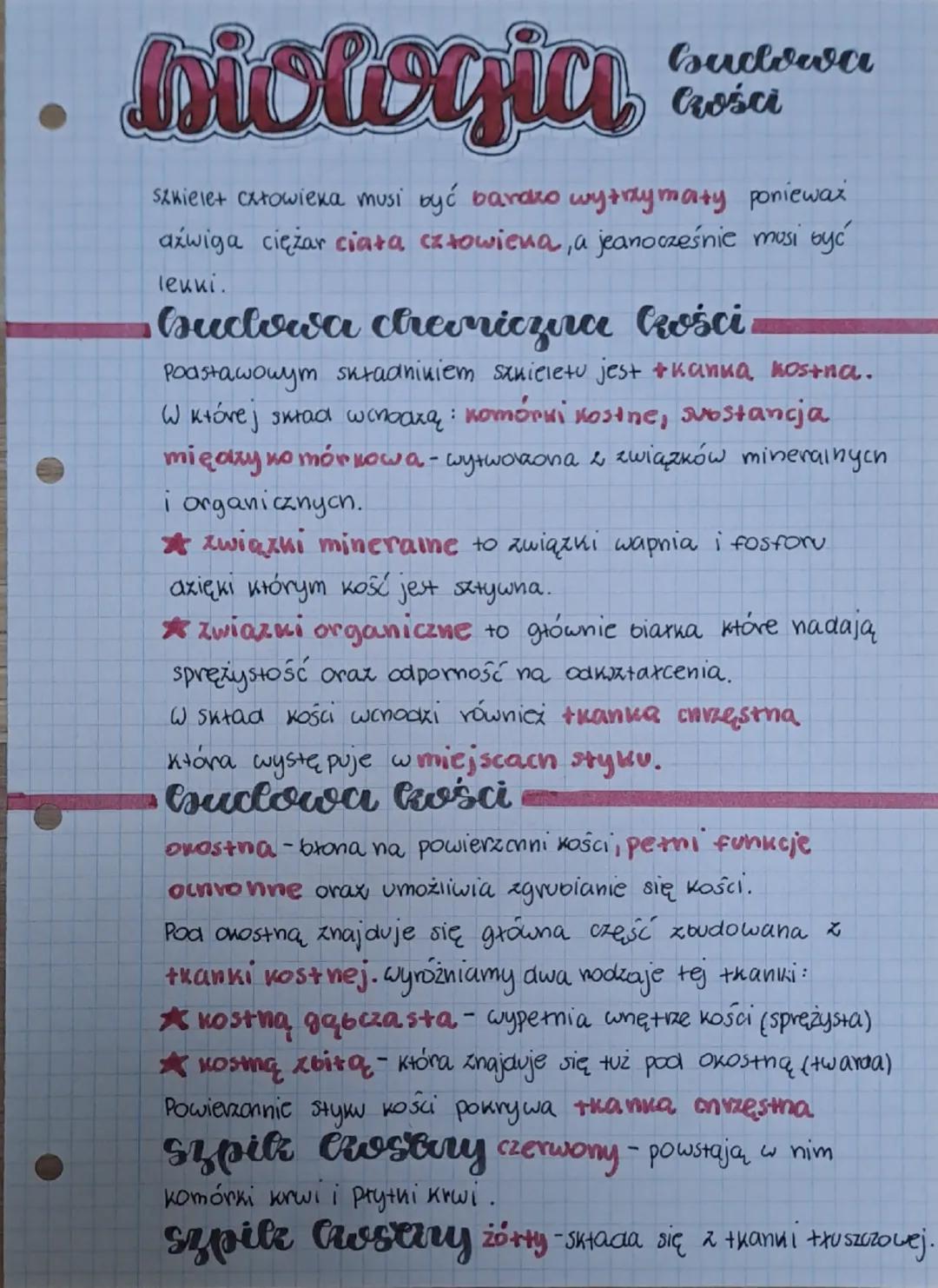 # biologia

budowa
Czości

Szkielet cxłowieka musi być bardzo wytrzymaty ponieważ
aźwiga ciężar ciała człowiena, a jeanocześnie musi być
lek