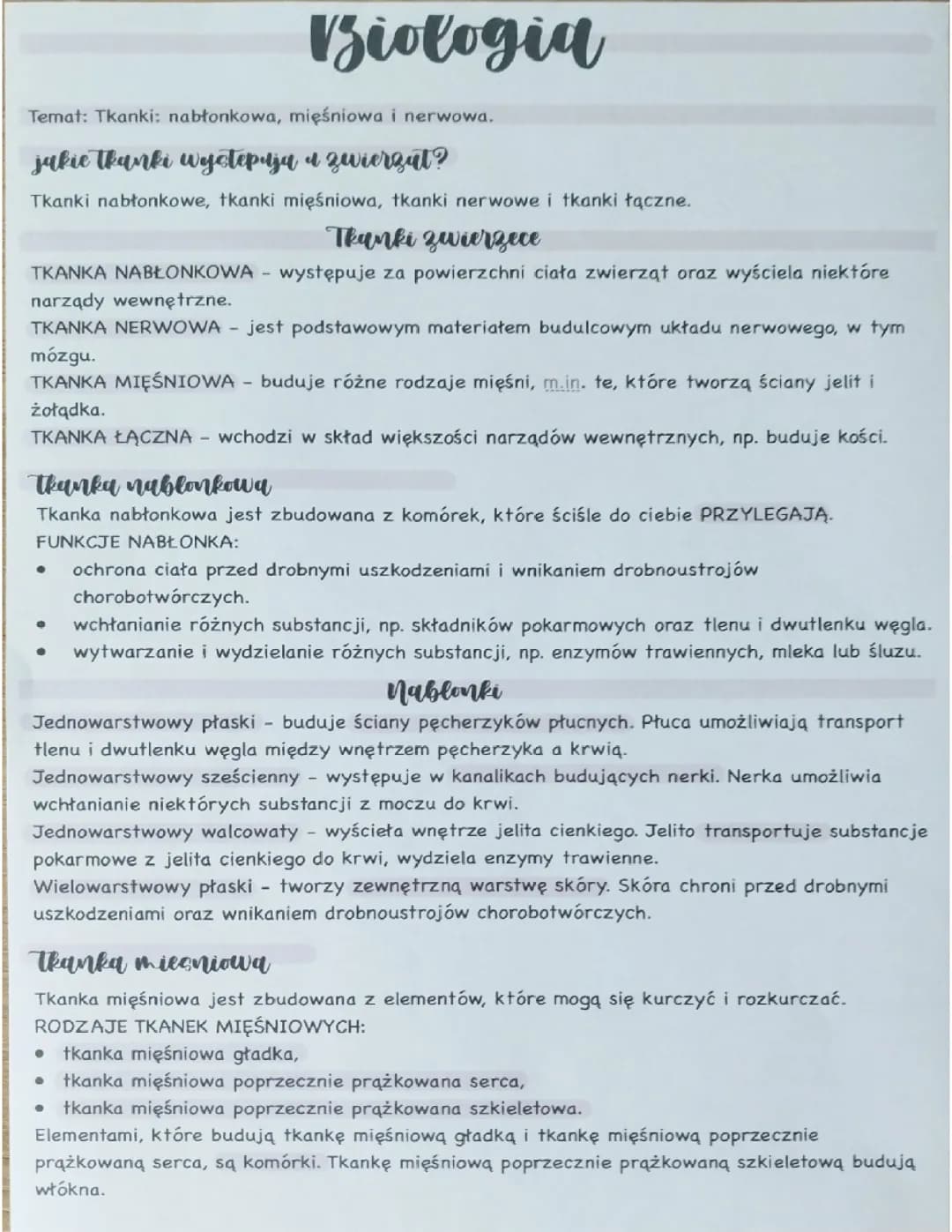 Tkanki: nabłonkowa, mięśniowa i nerwowa.