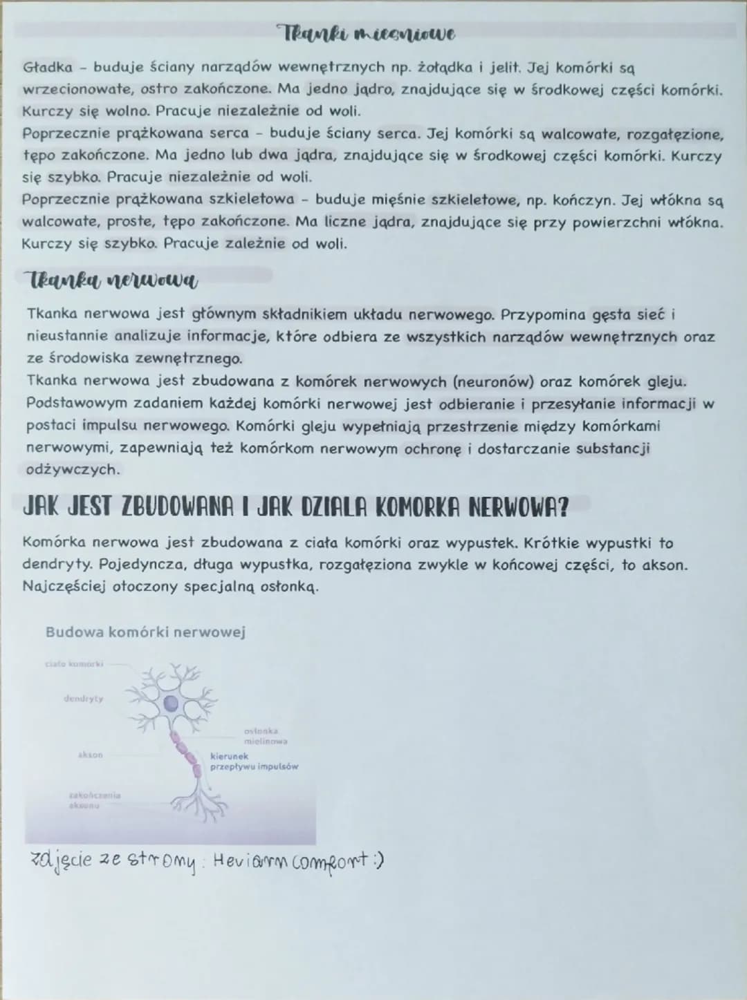 Biologia
Temat: Tkanki: nabłonkowa, mięśniowa i nerwowa.
jakie tkanki wystepaya 4 zwierzat?
Tkanki nabłonkowe, tkanki mięśniowa, tkanki nerw