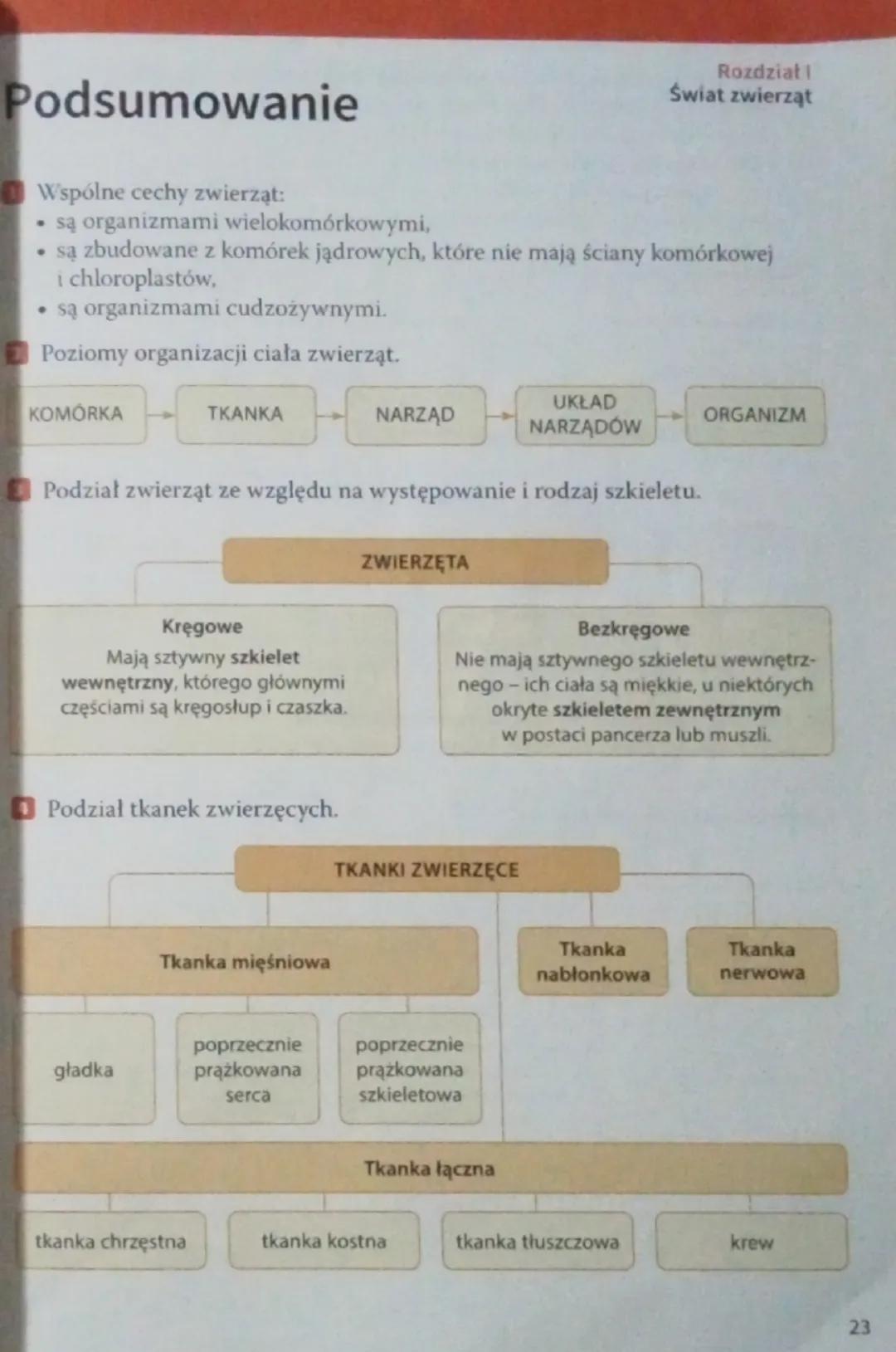 Podsumowanie
Wspólne cechy zwierząt:
• są organizmami wielokomórkowymi,
Rozdział
Świat zwierząt
⚫ są zbudowane z komórek jądrowych, które ni
